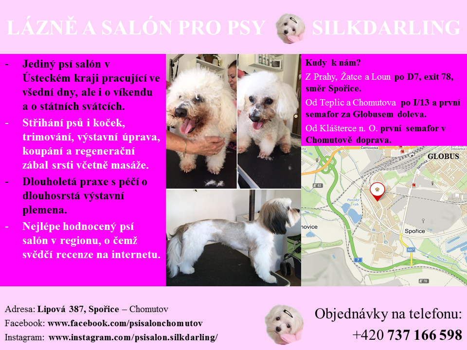 Salon a lázně pro psy SilkDarling foto 3