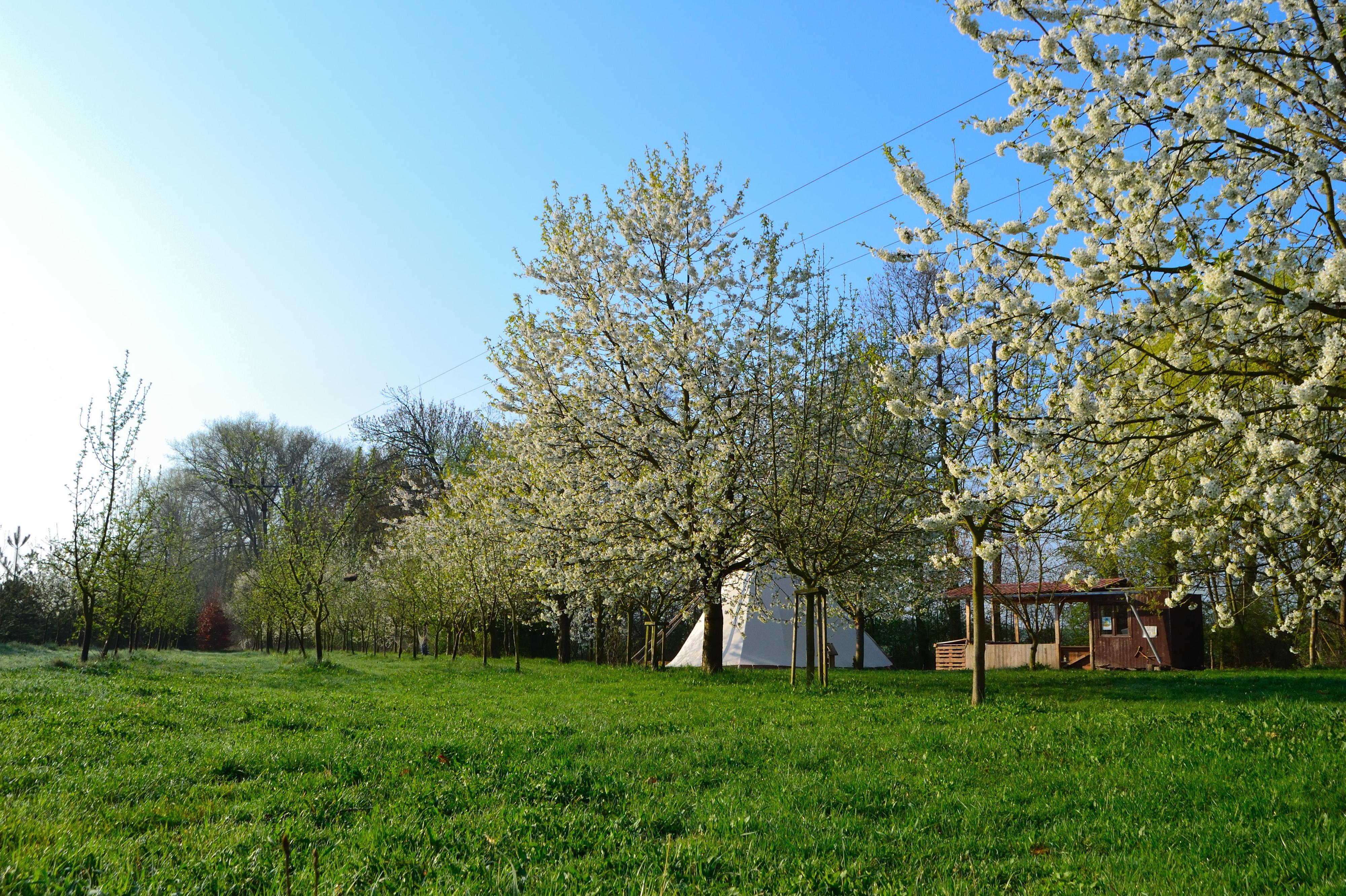 Lesní klub Zeměkus