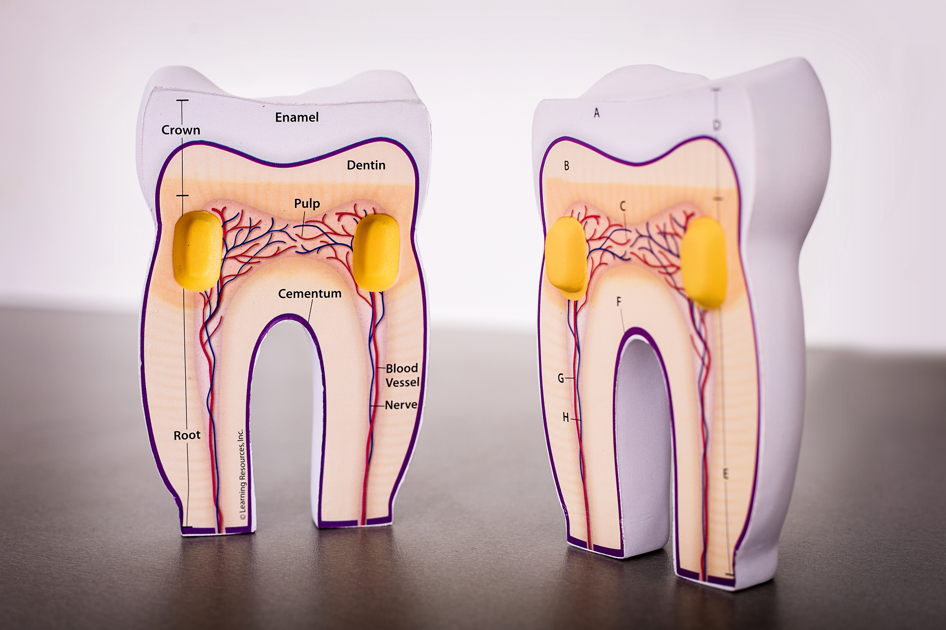Dentální hygiena - Jiřina Urbanová dipl.d.h. foto 2