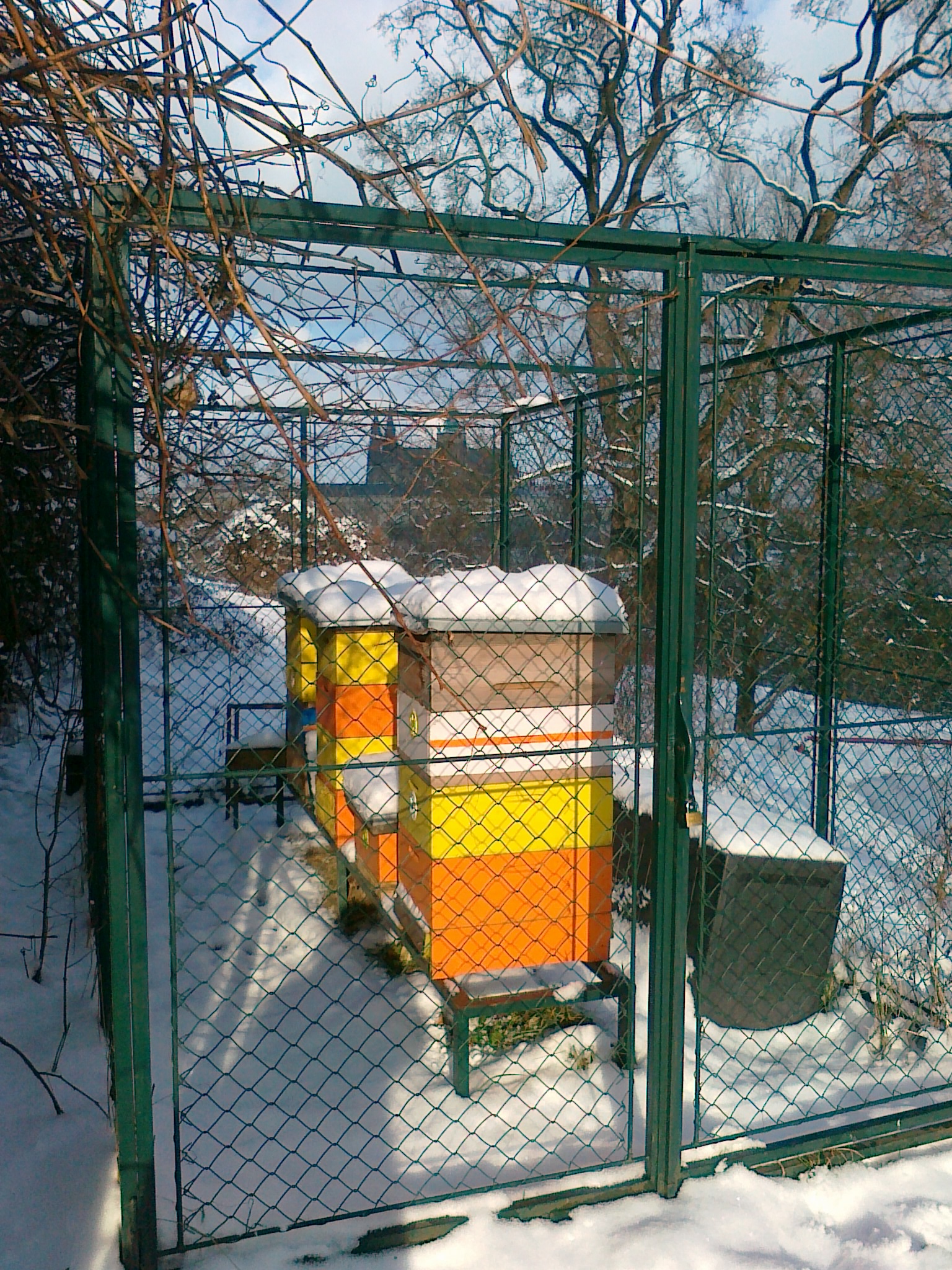 HRADČANSKÉ VČELY foto 2