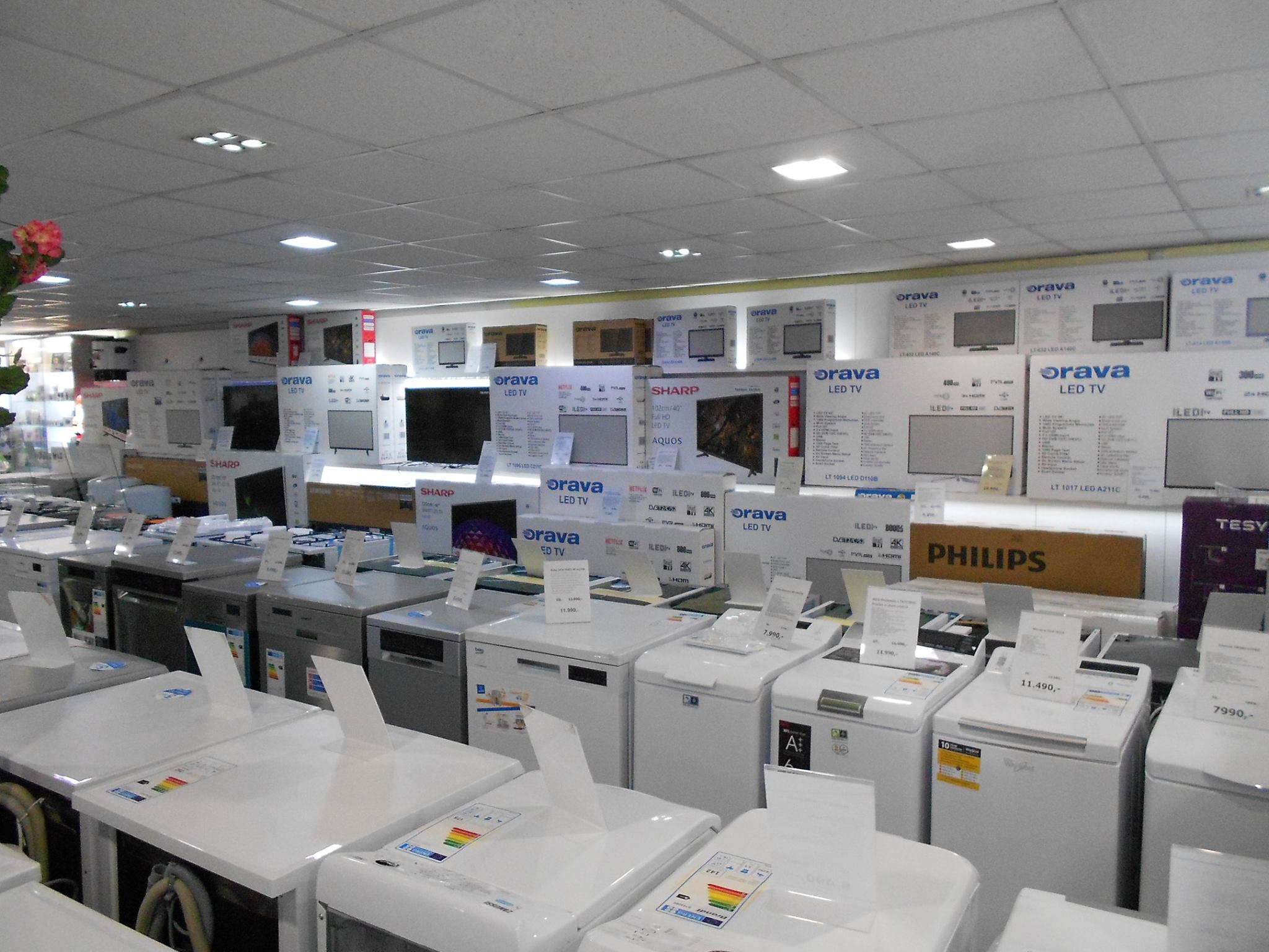 PESTRO Elektro foto 4