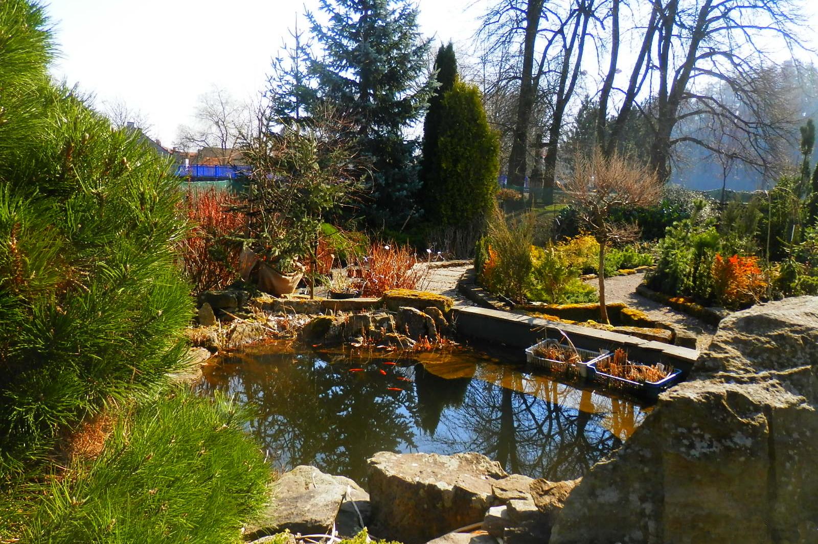 Jiří Tlustý, T-zahradní servis