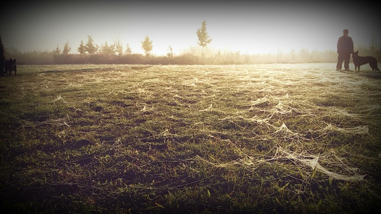 ZKO Kralupy nad Vltavou-Strachov foto 6