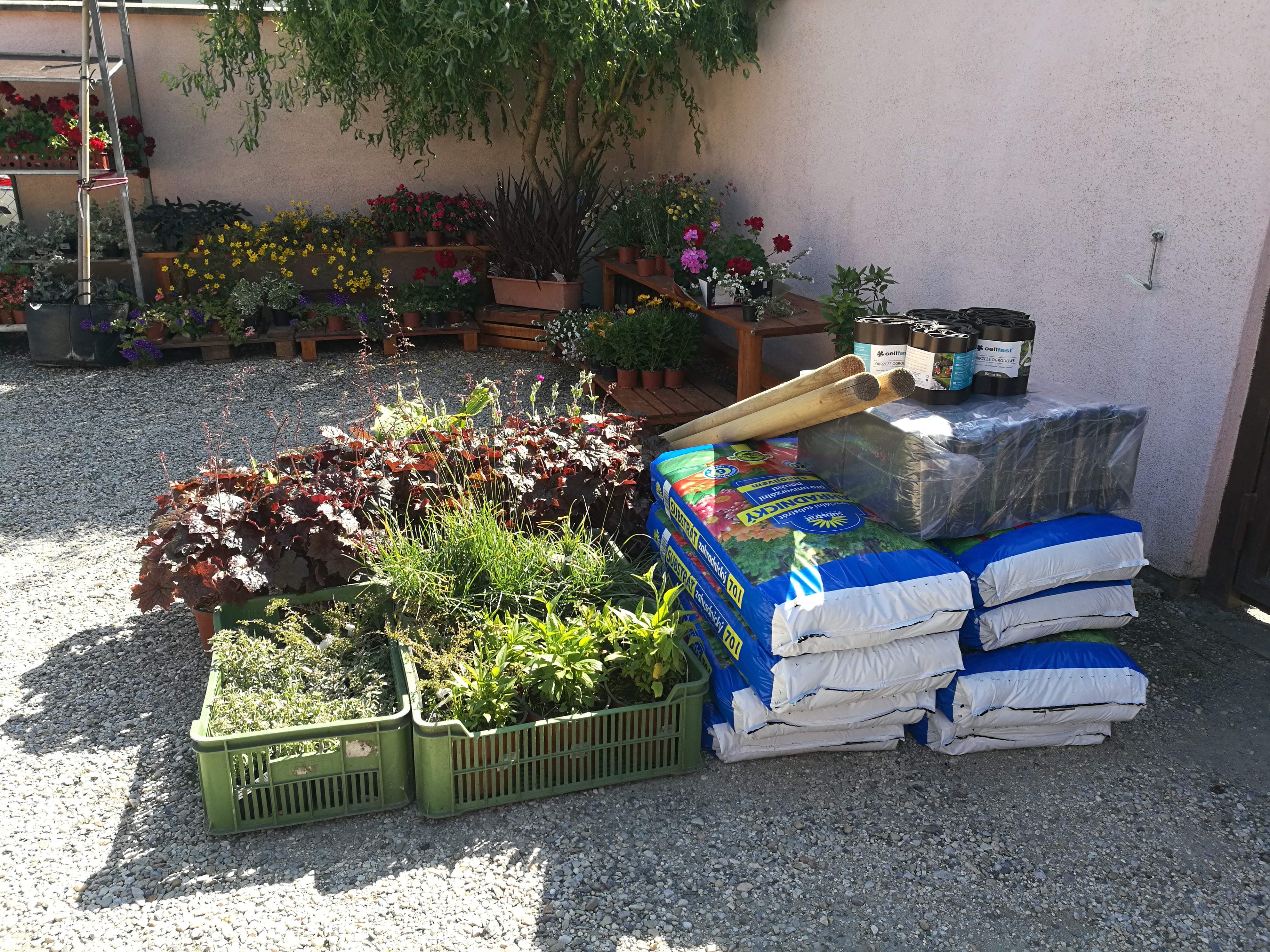 Květinový servis Lucie Holečková foto 3