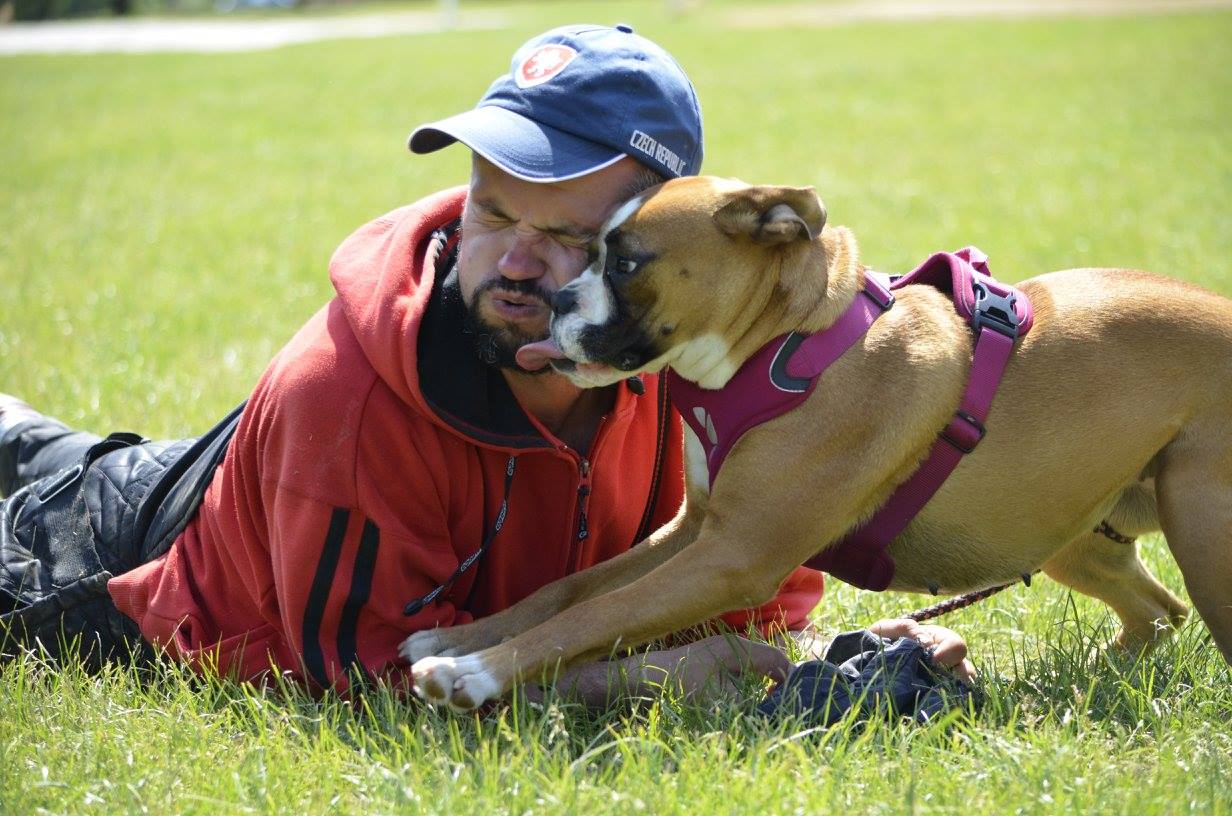 DogUniversal foto 2