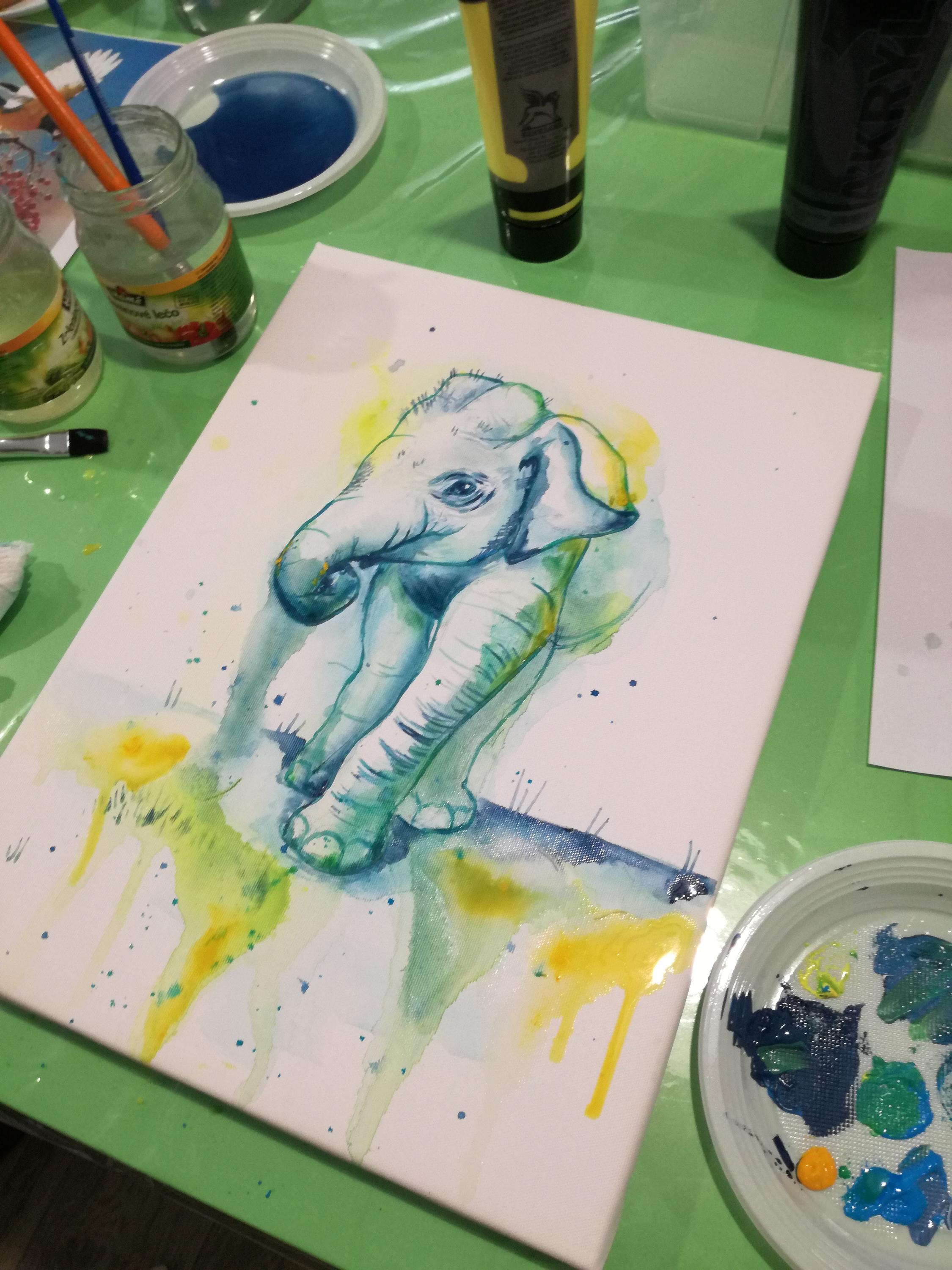 Ateliér Kočka foto 4