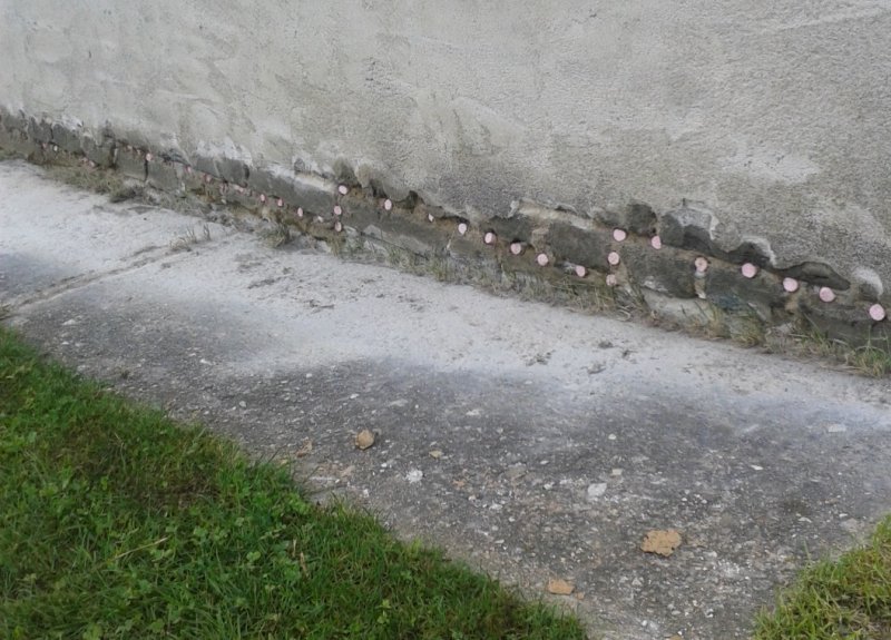 Odvlhcenidomu.cz foto 3