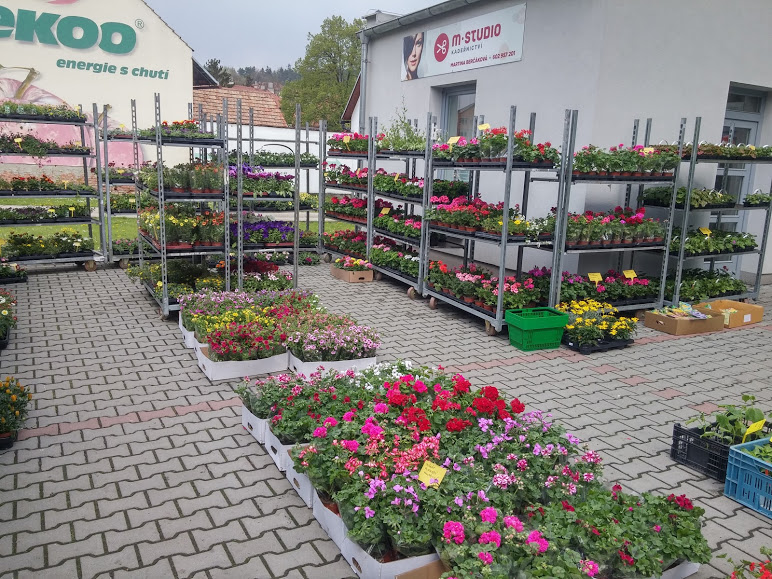 Zahradní centrum Bučovice foto 3