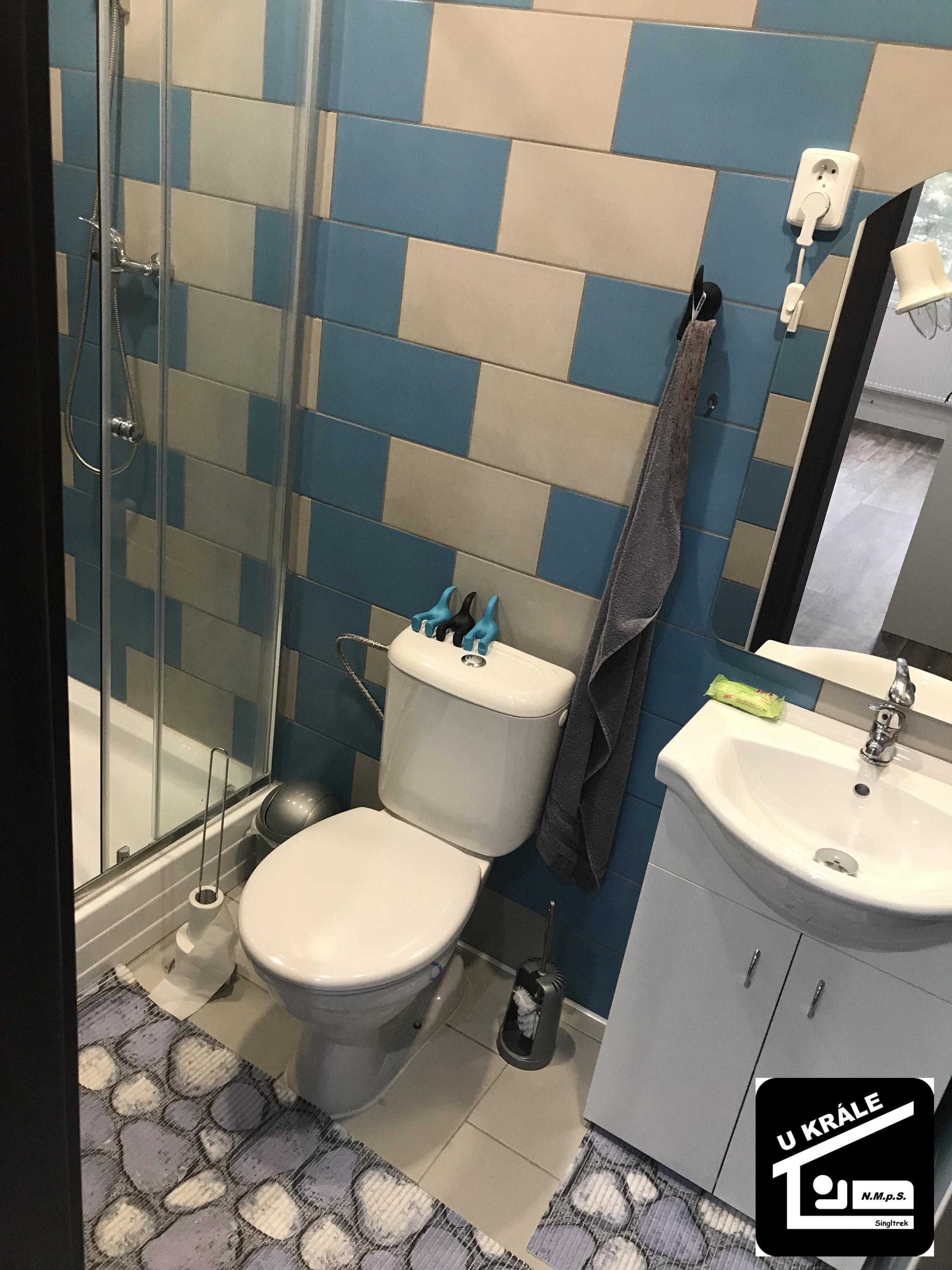 Čištění Král foto 4