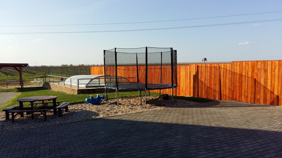 KOSÍK penzion a vinařství foto 5