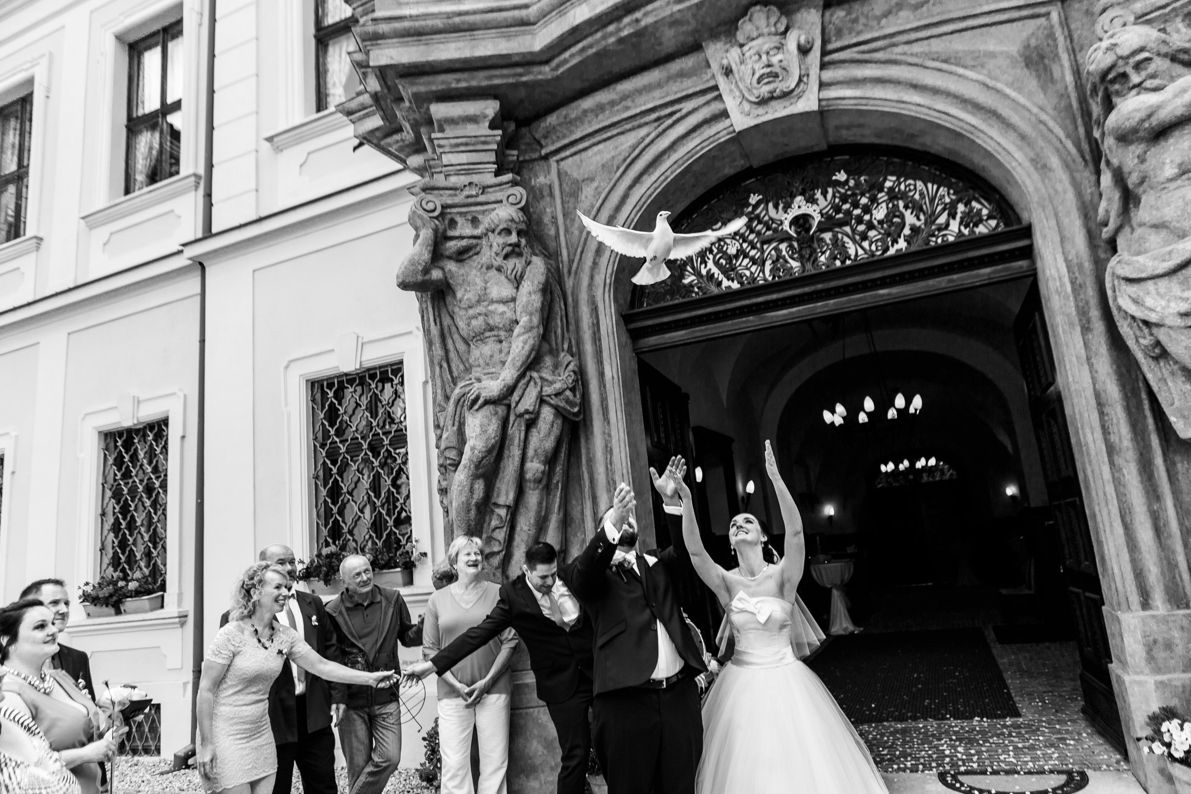 HOTOFOTO - Ondřej Totzauer foto 5