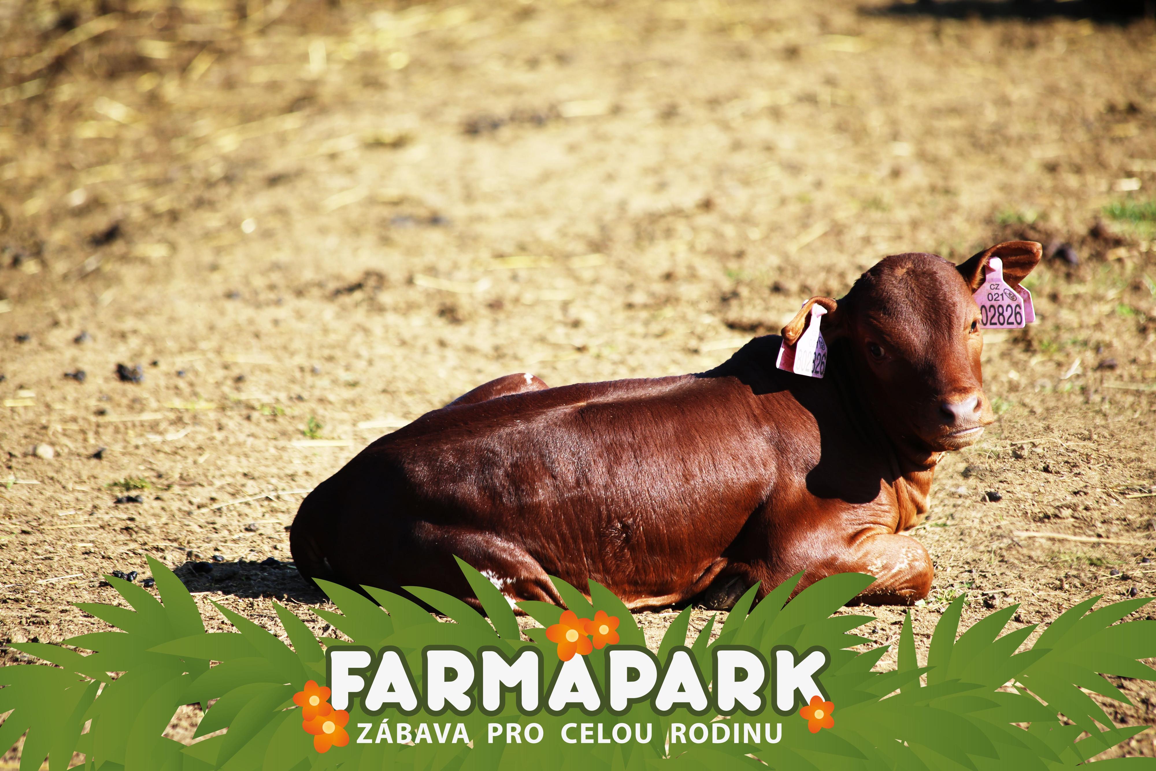 FARMAPARK foto 4