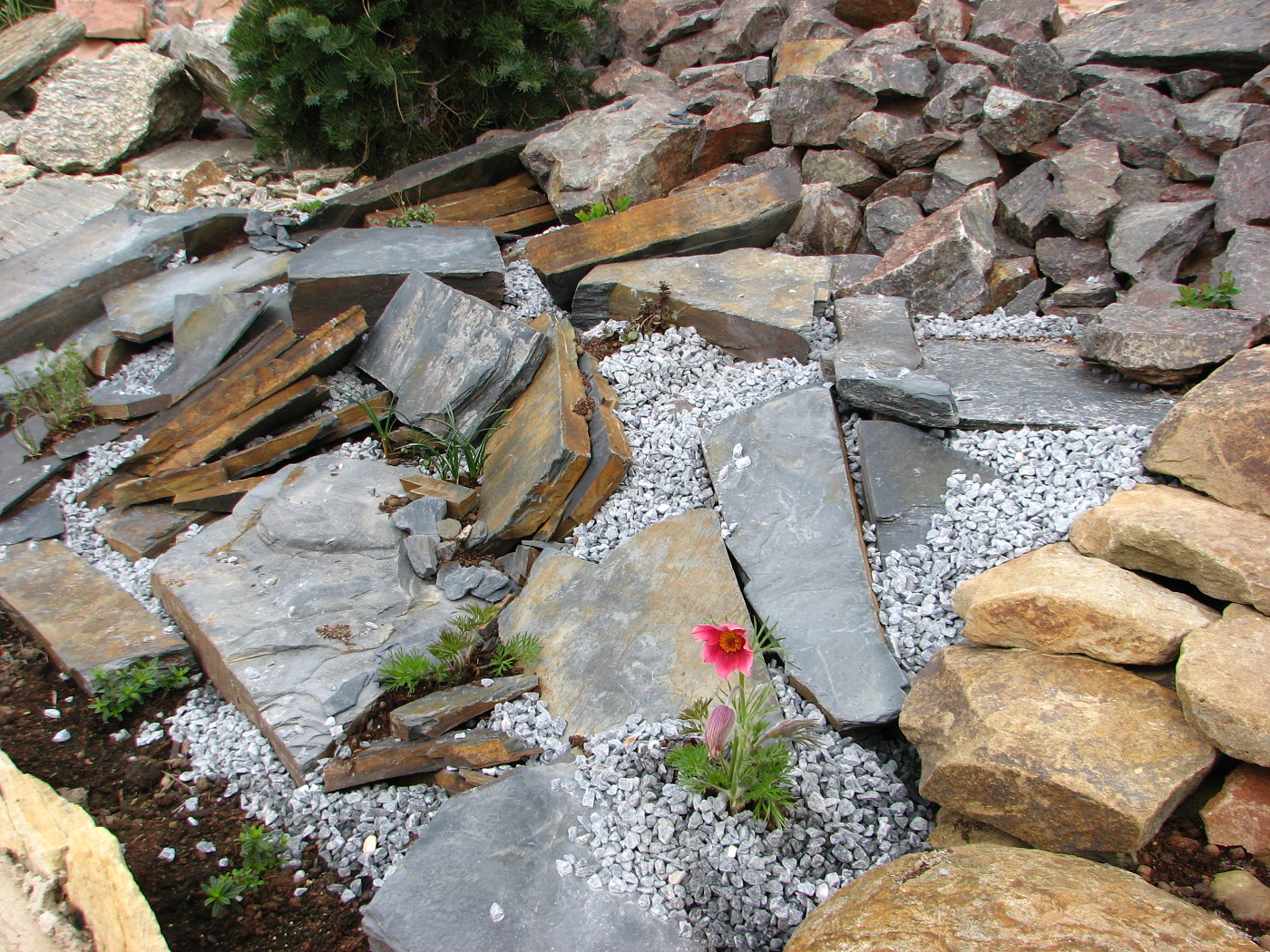 Ing. Vítězslav Bucháček foto 2