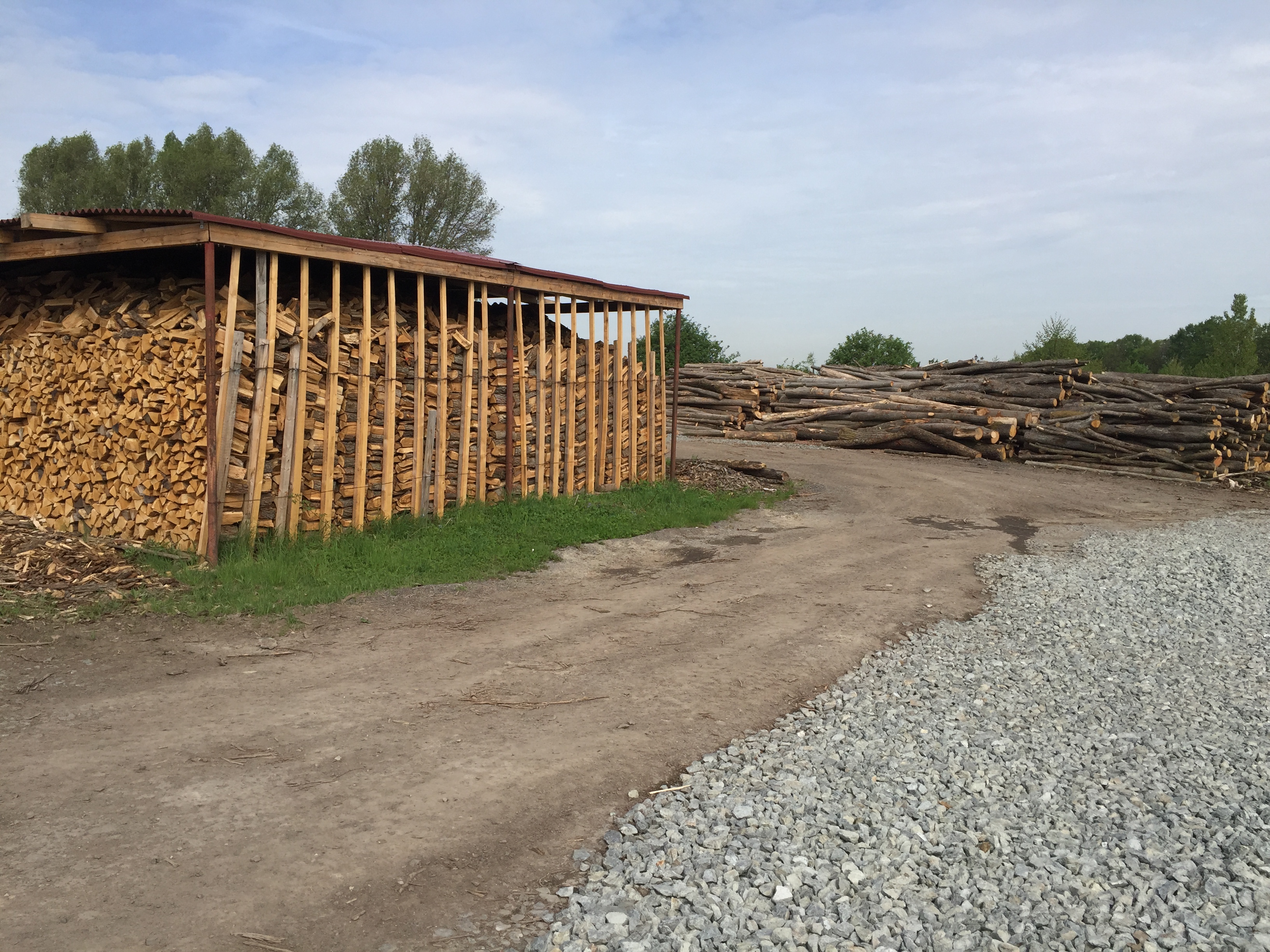 Palivové dřevo - Martin Duben