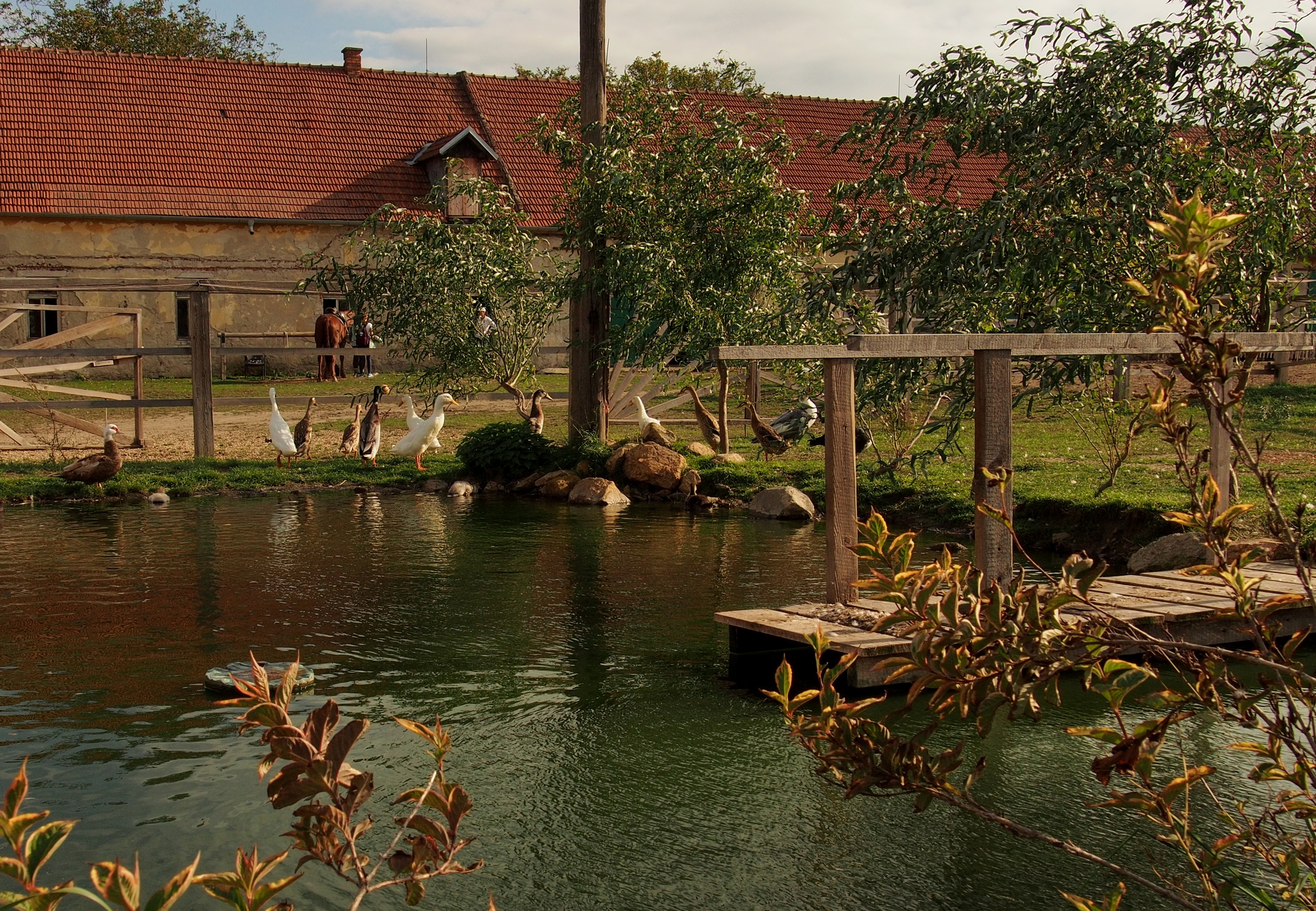Zámek Branišovice foto 4