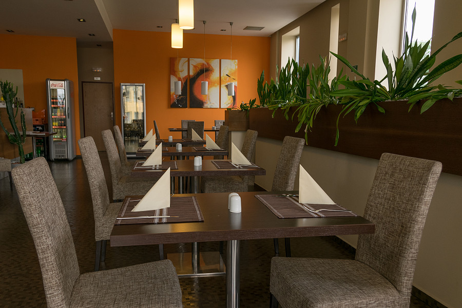 Restaurant Hotel Lions Plzeň foto 6