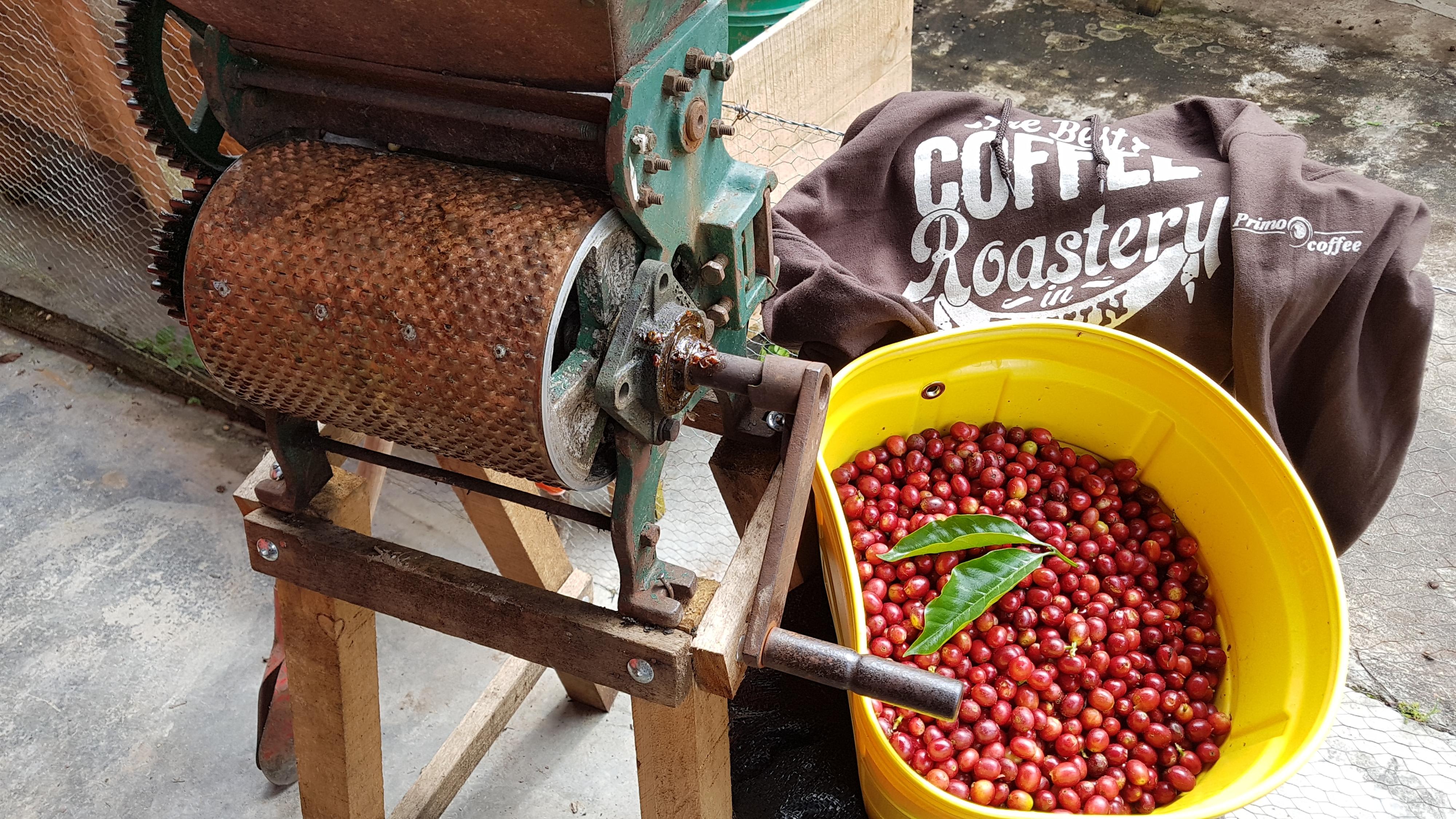 Primocoffee s.r.o. foto 3