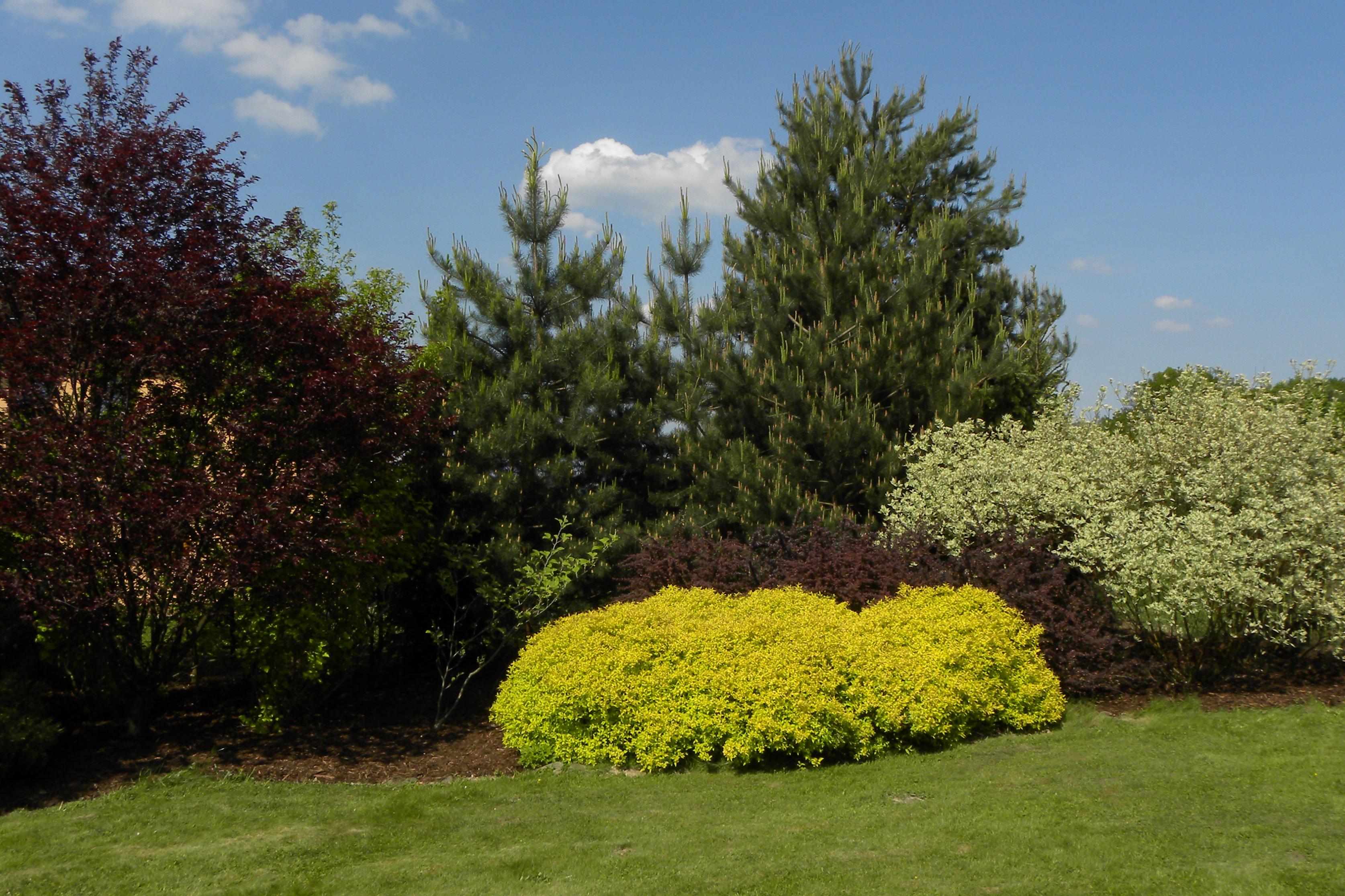 Filip Hruška Zahrady