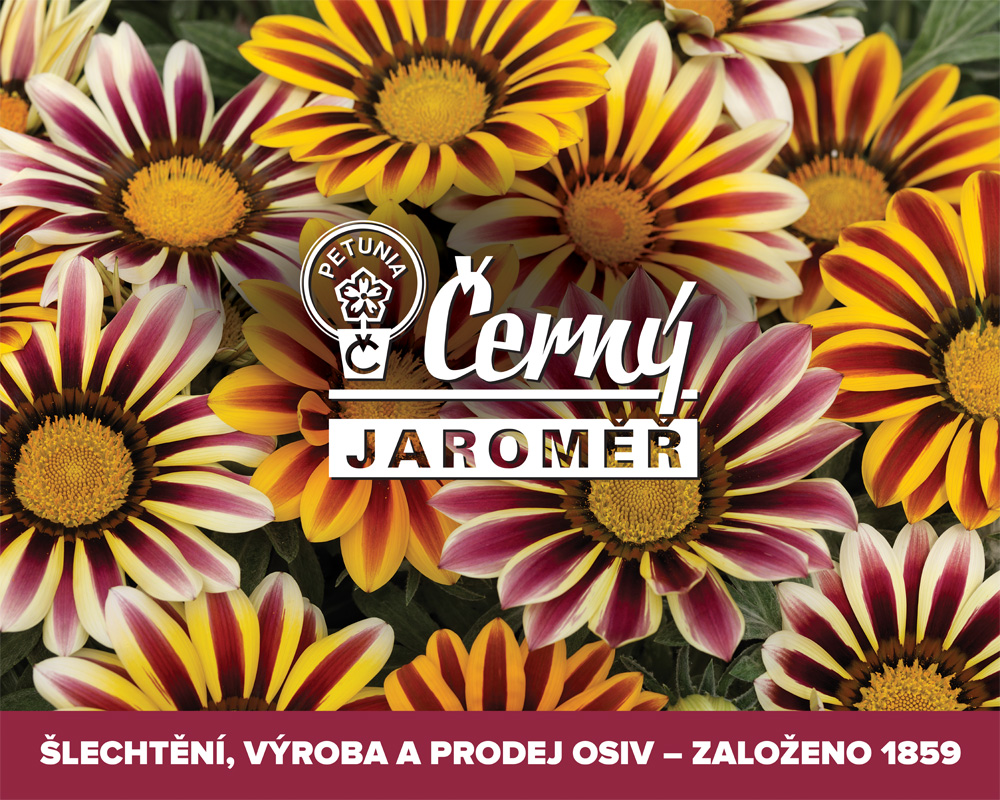 Černý Seed s.r.o. foto 2