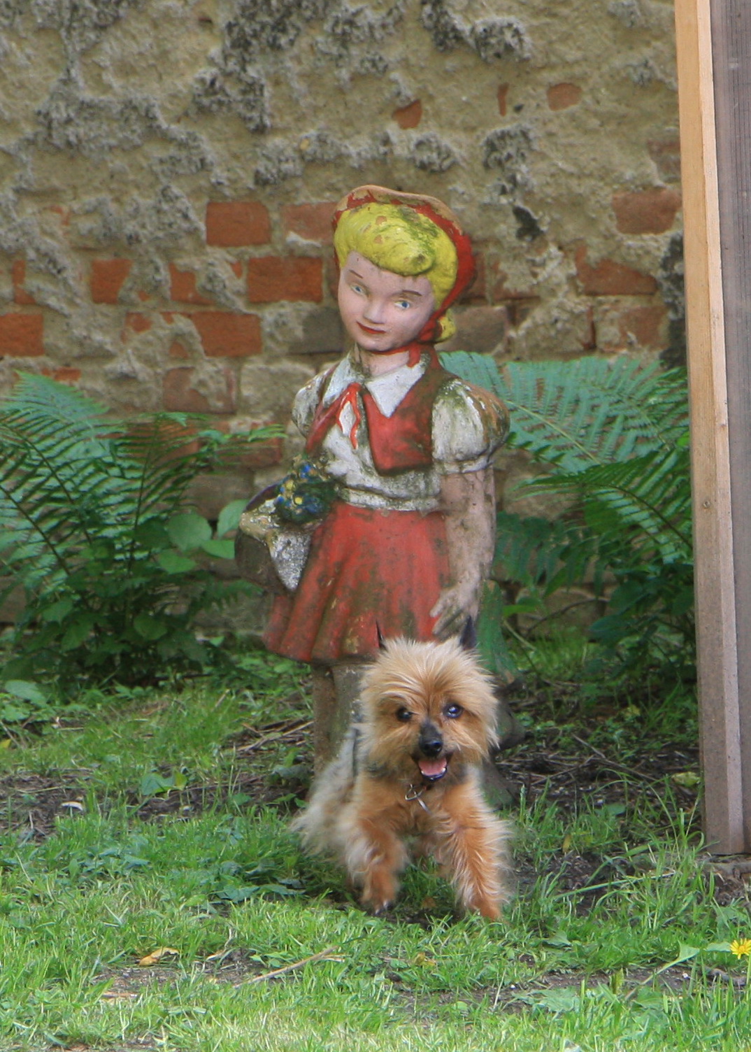 Psí školka Pod Ořechem foto 2