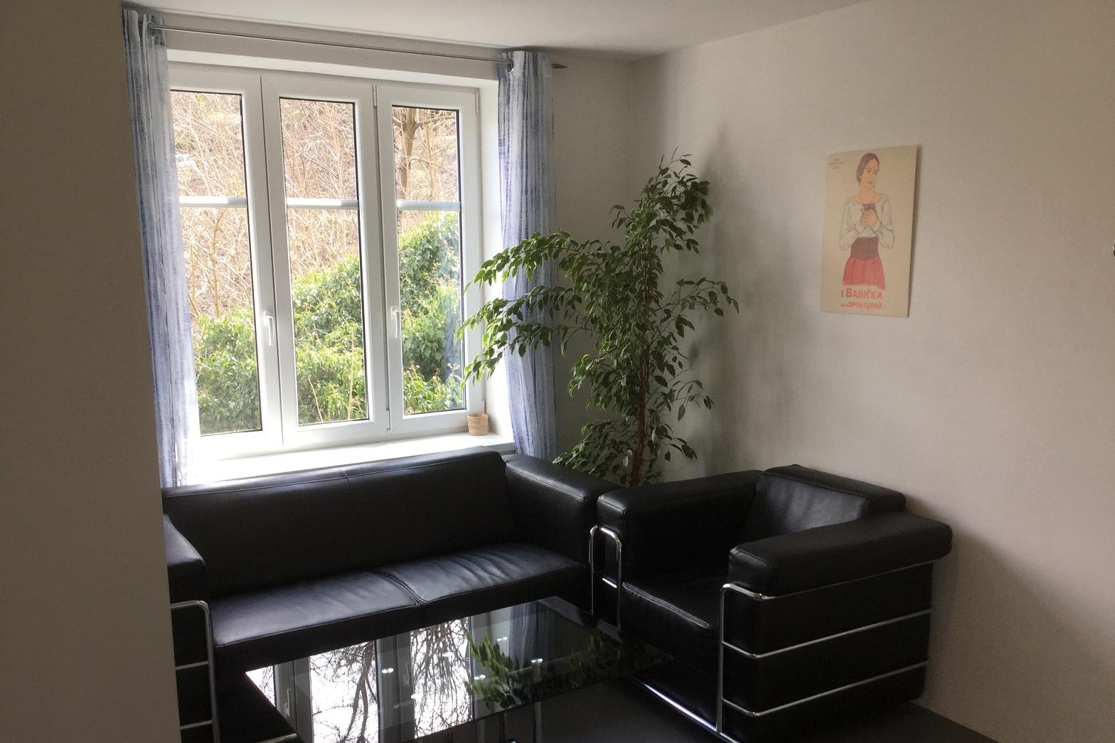 Česká nemovitostní společnost s.r.o.