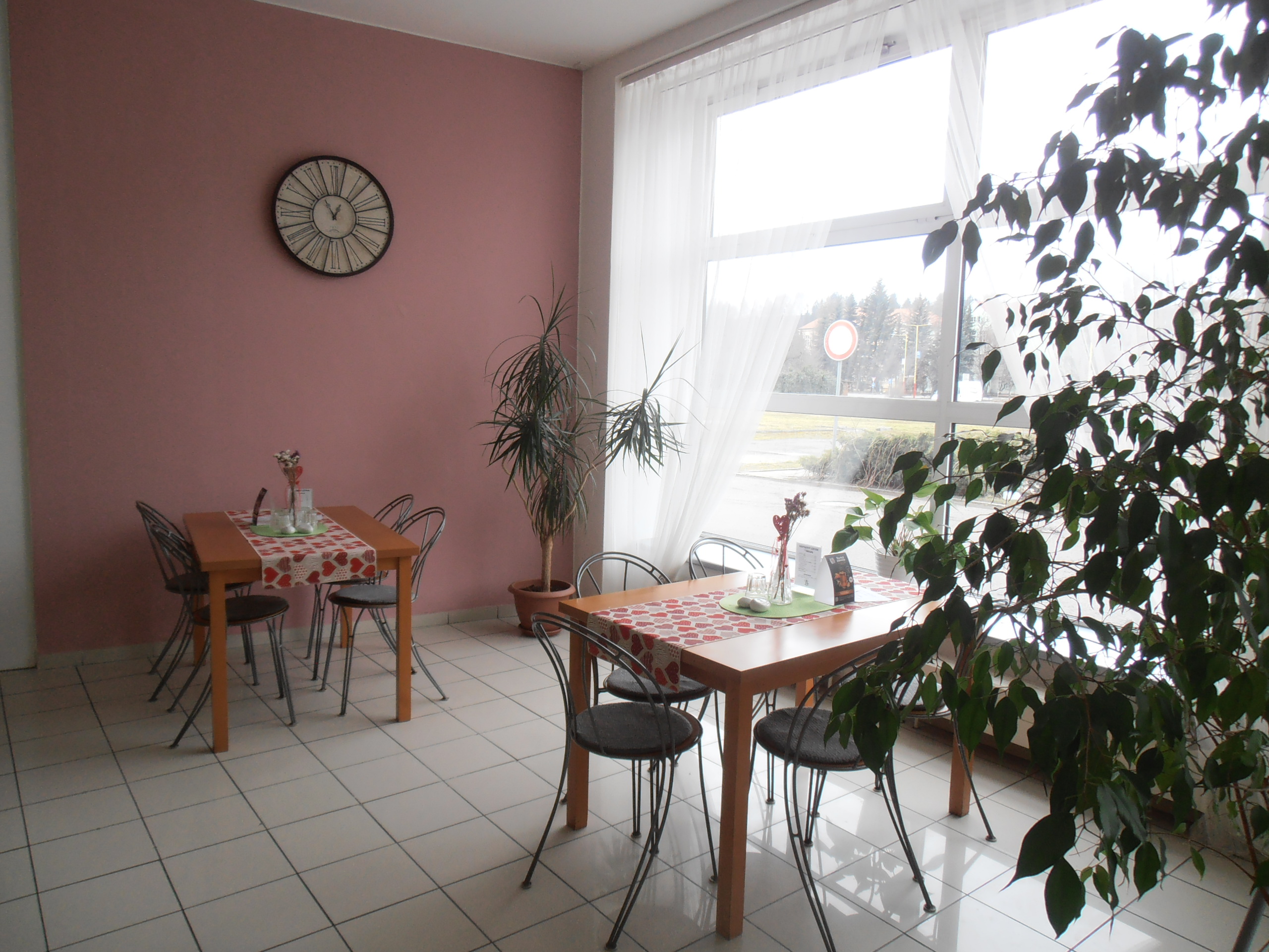Vegevita - vegetariánské bistro foto 2