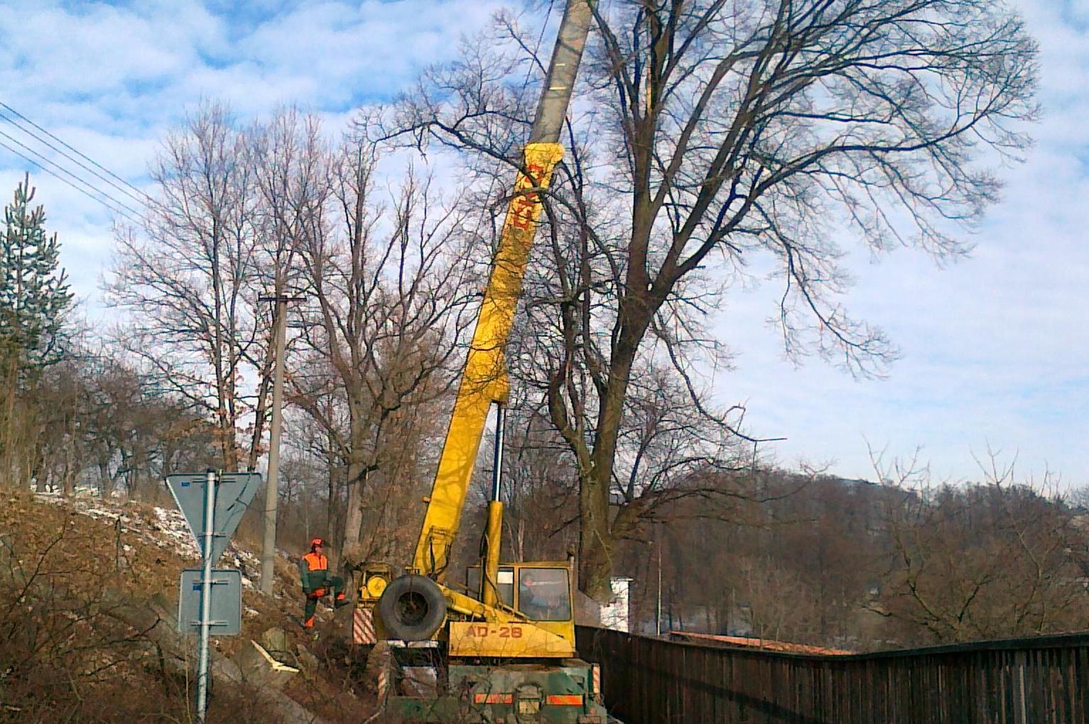 Arbolez - Miroslav Kopenec