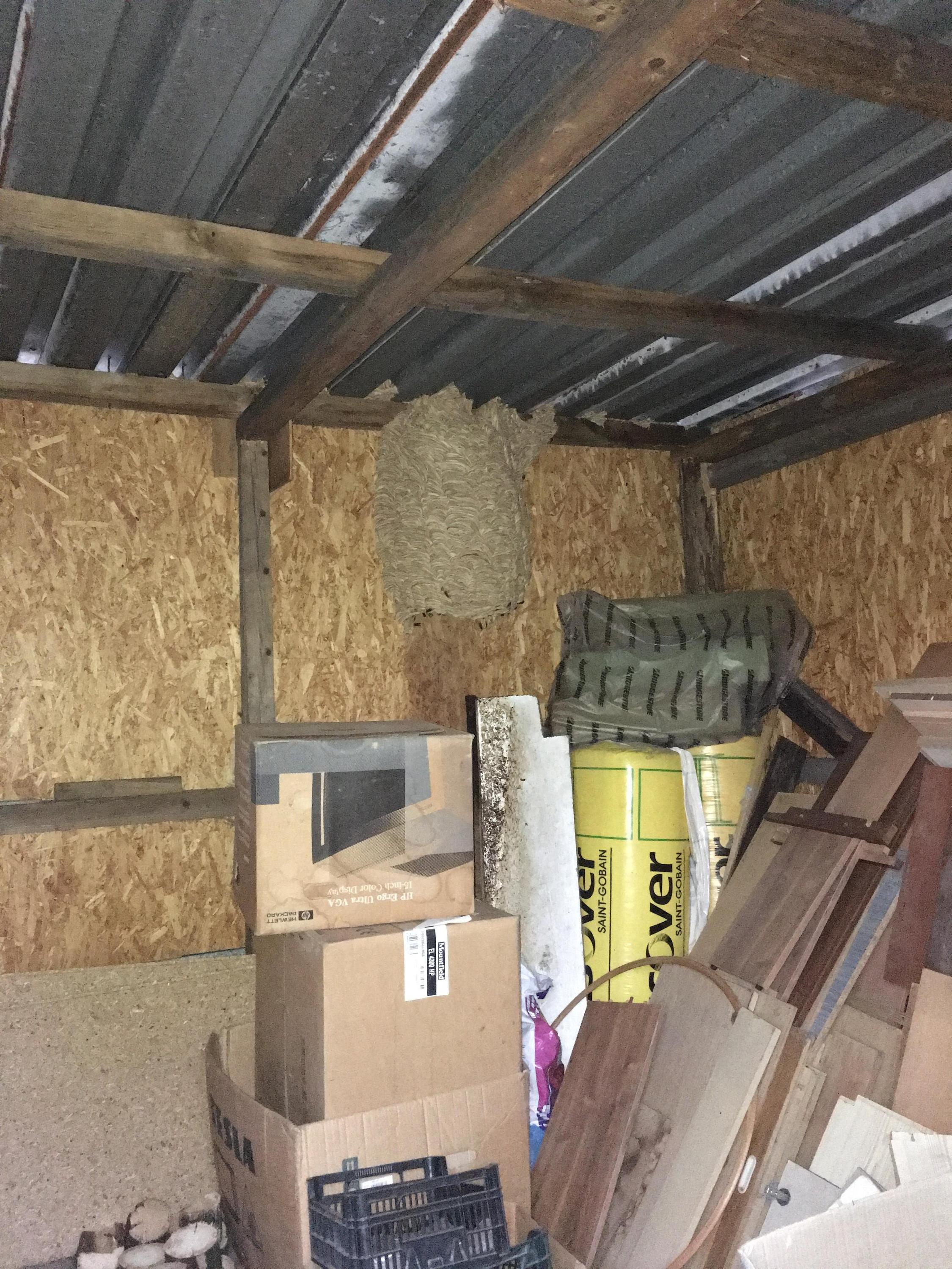 Pavel Horáček - DDD foto 3