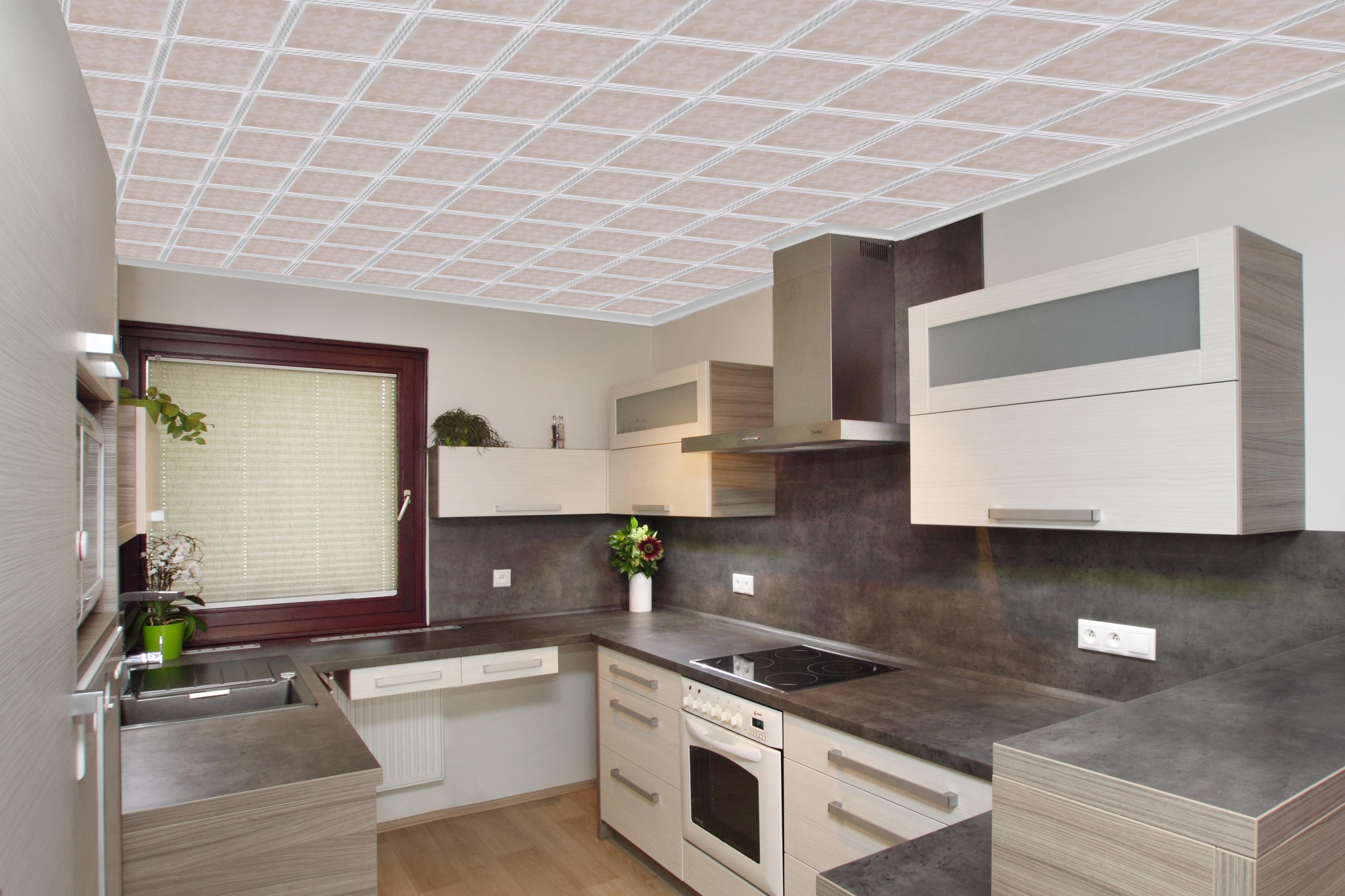 Ota Stárek s.r.o. foto 5