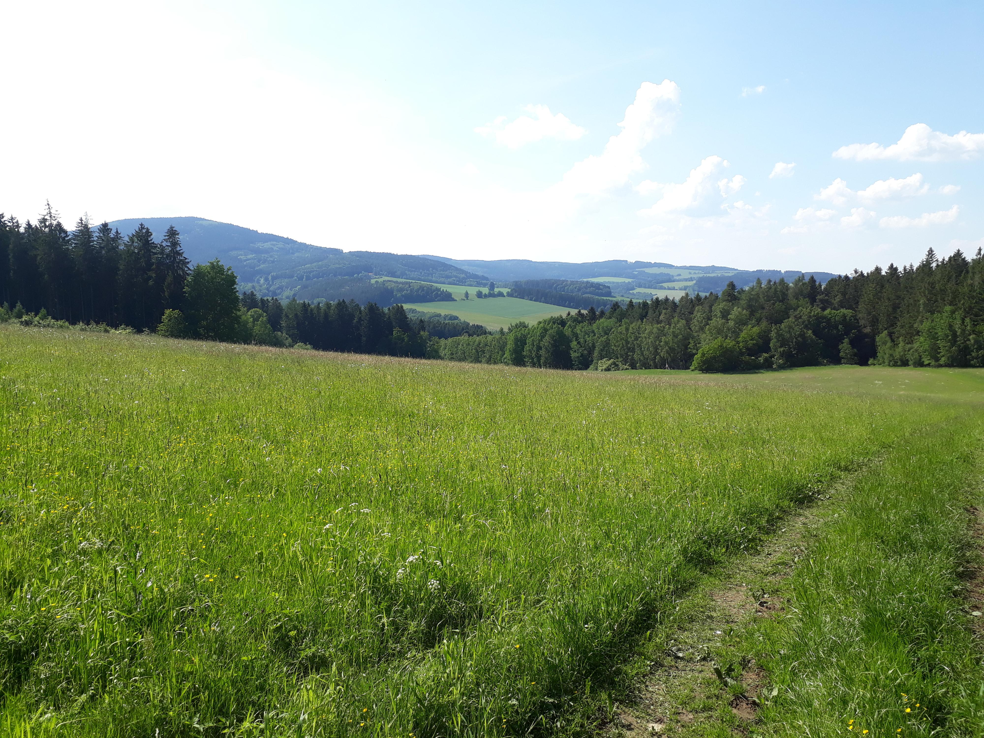 Ubytování Poběžovice - Tomáš Hrda foto 3