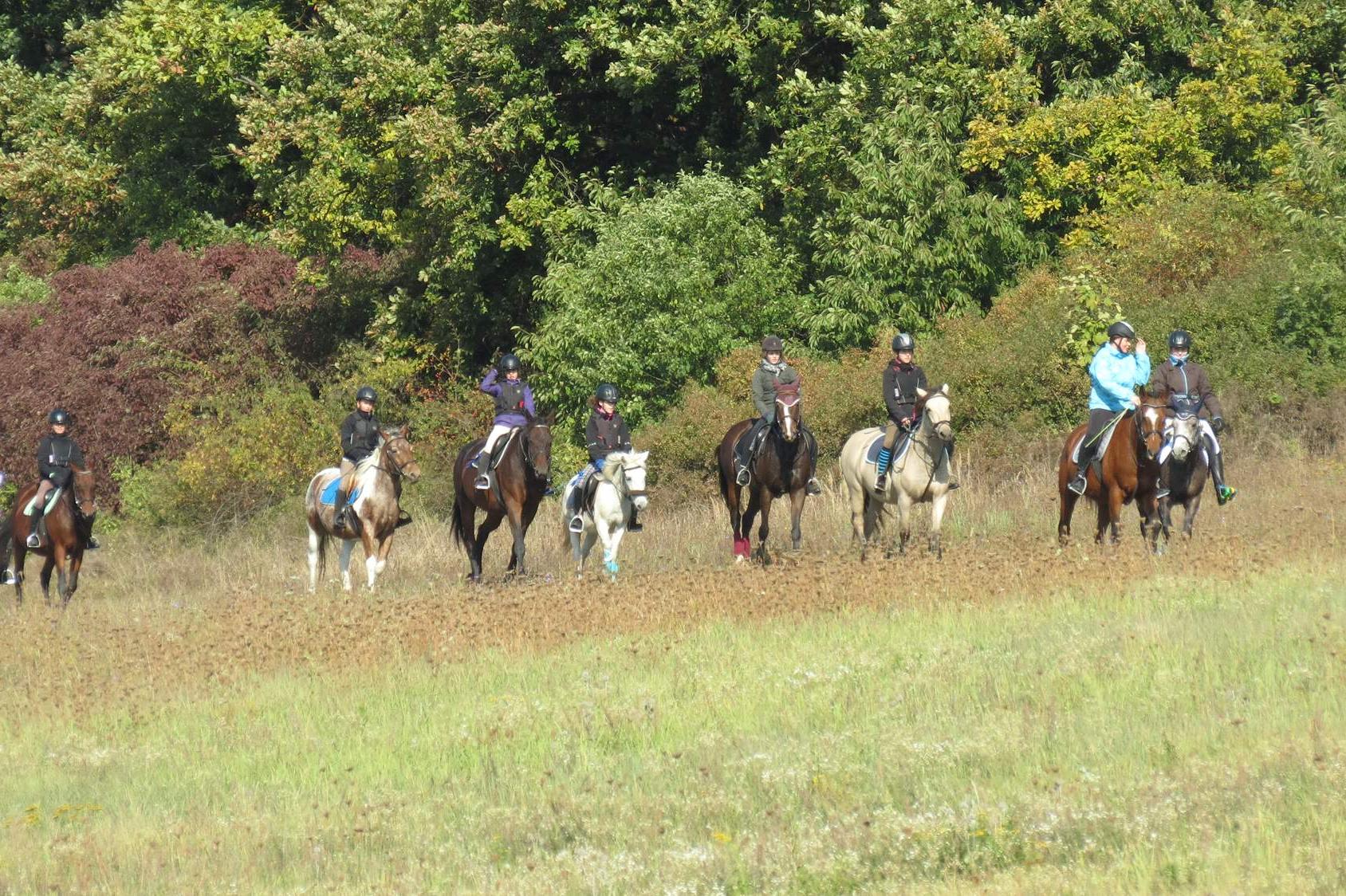 Spolek farmy Řehlovice