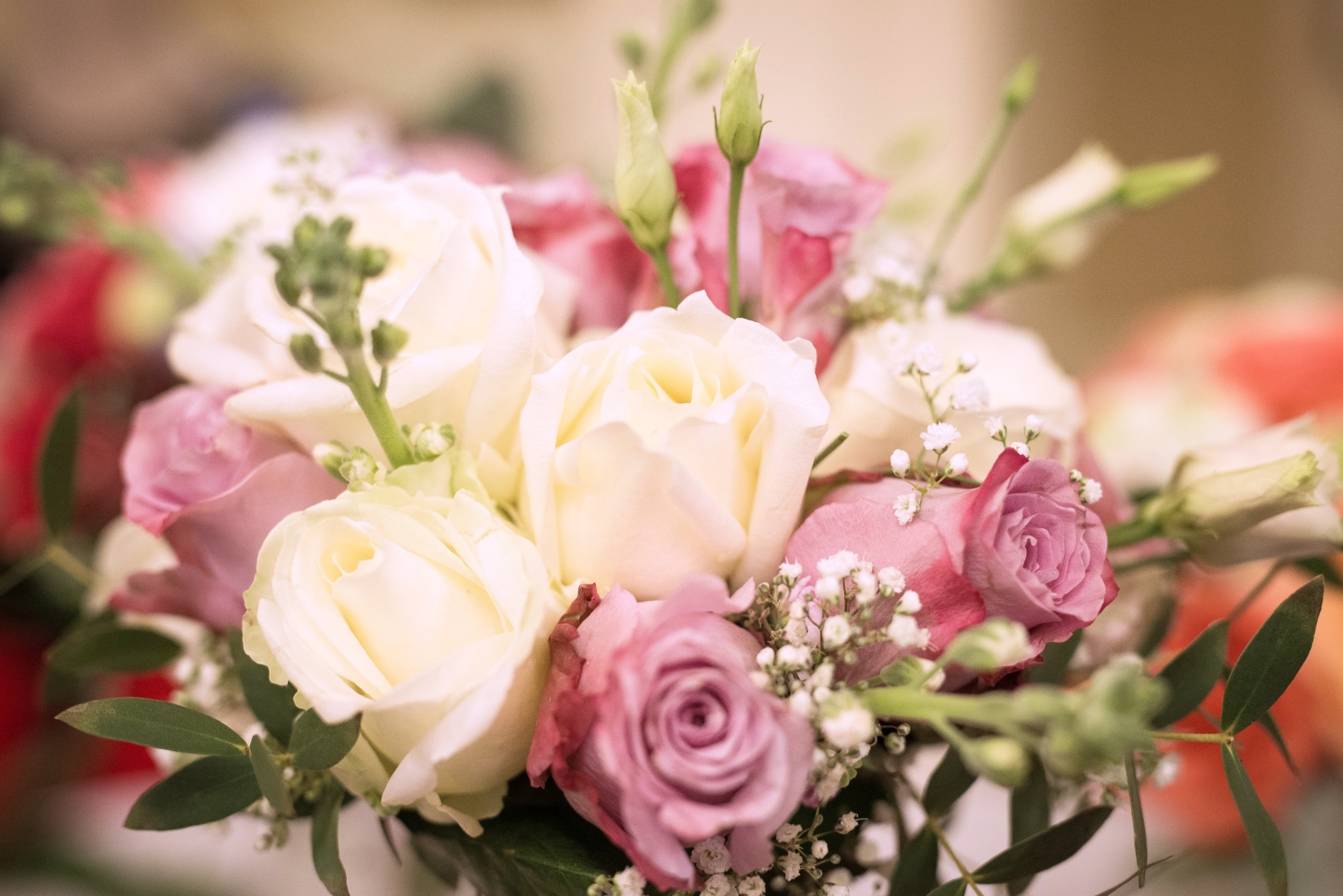 Flora Centrum , Karlovy Vary - zahradní centrum Bohatice foto 2