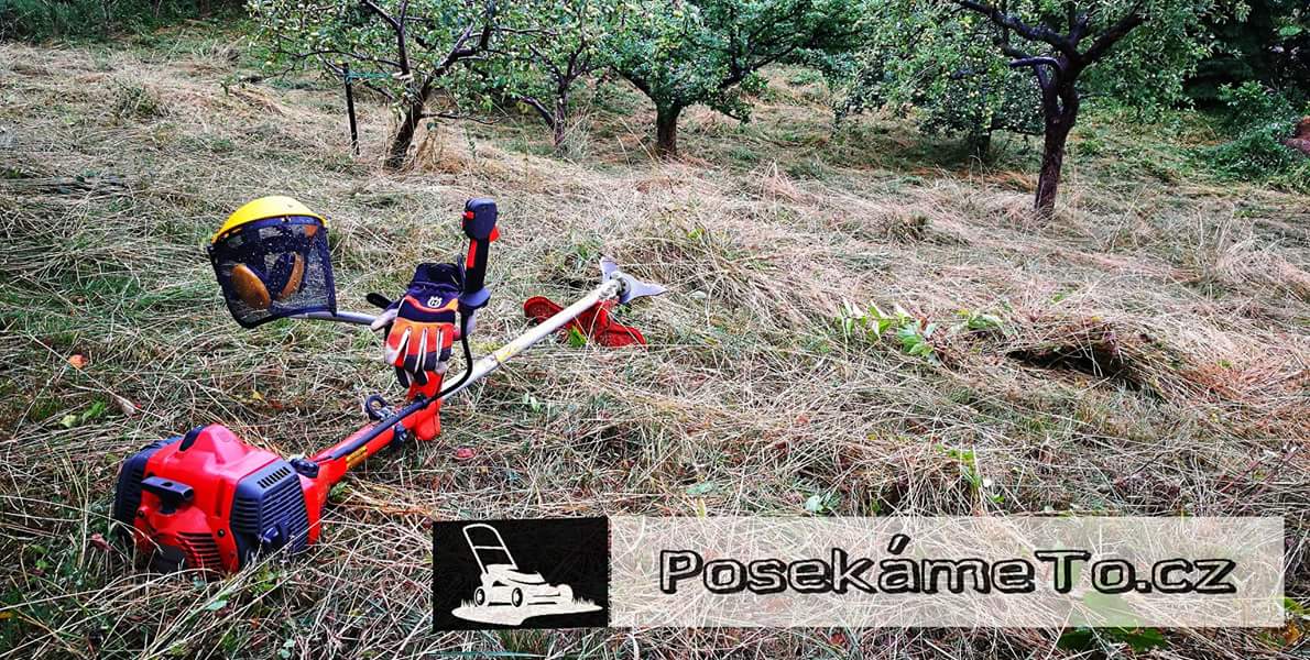 PosekámeTo.cz foto 2