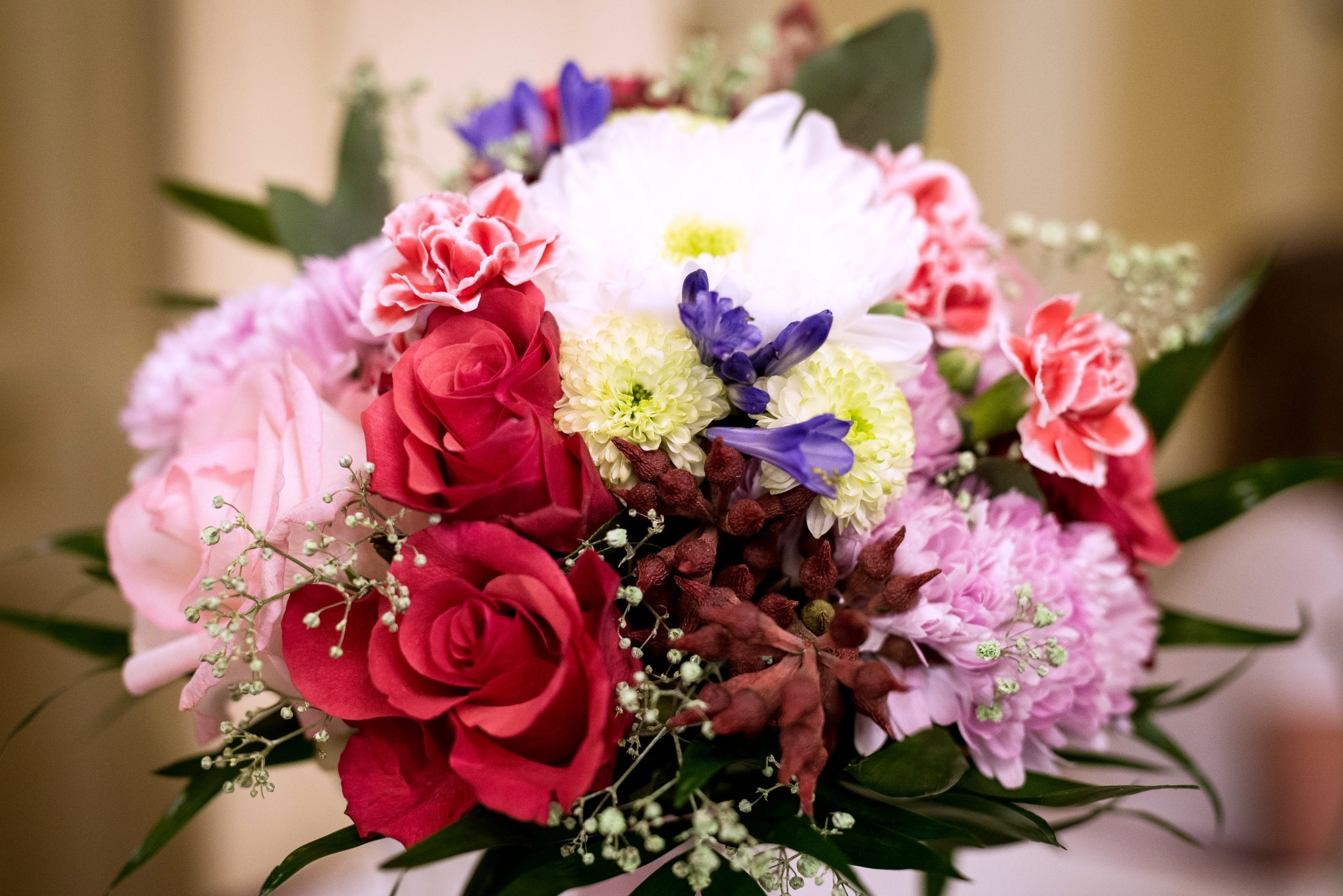 Flora Centrum , Karlovy Vary - zahradní centrum Bohatice foto 4