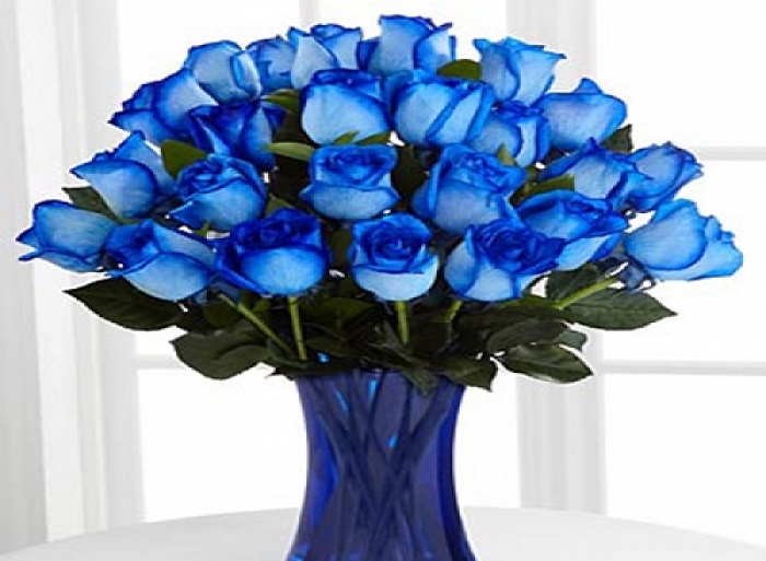 Květinové Taxi foto 4