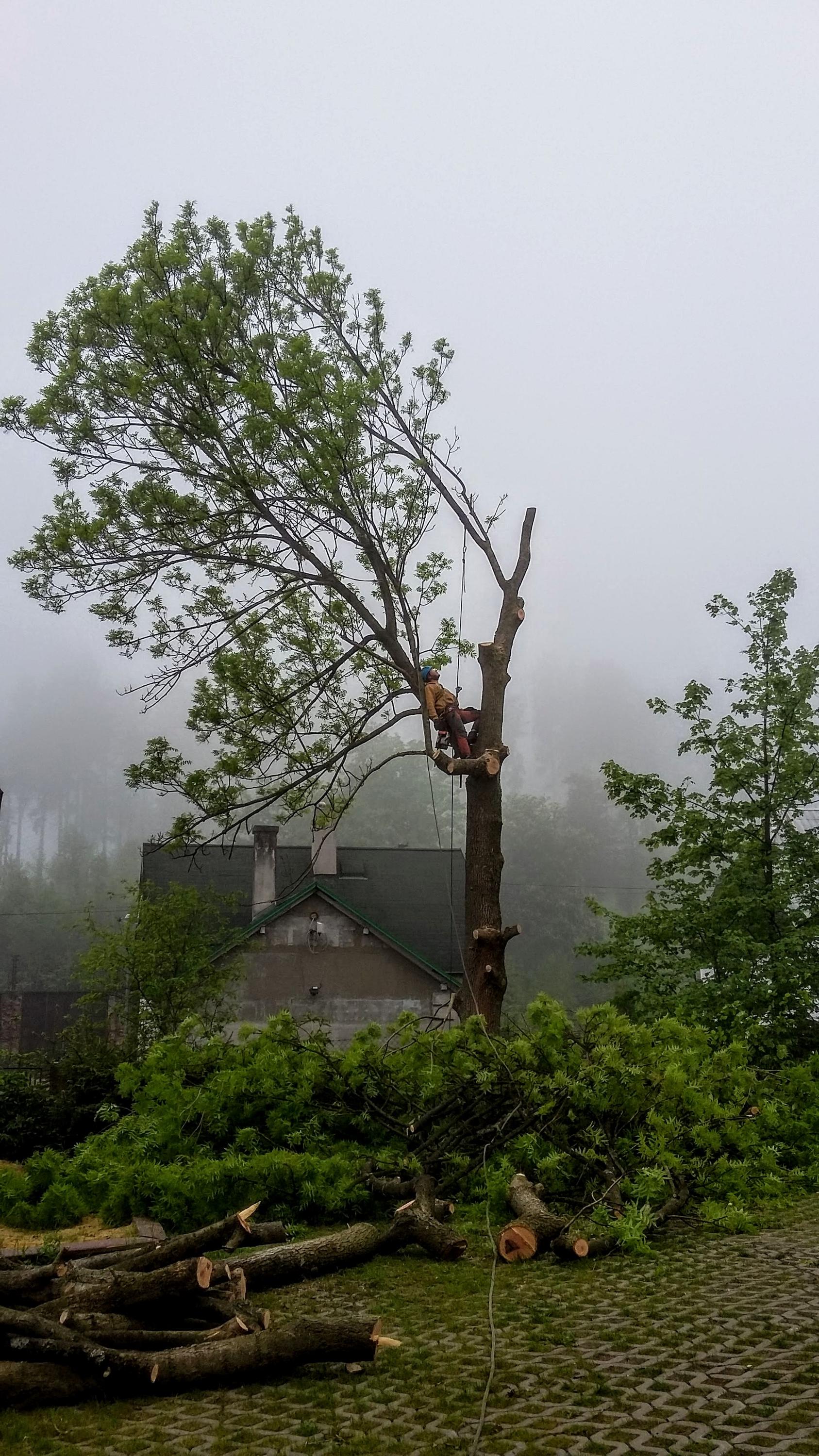 ProfiVýšky foto 2