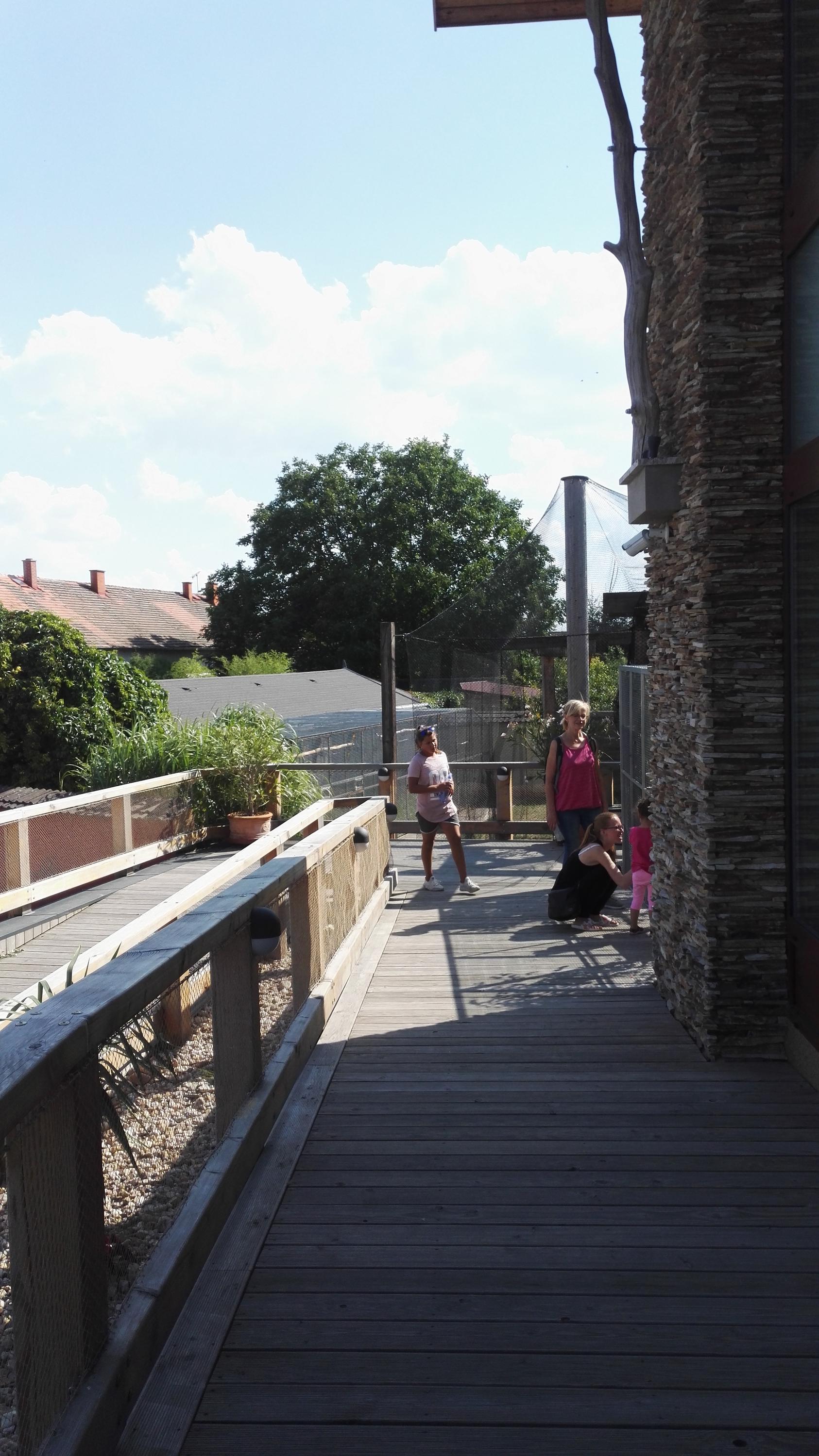 Občerstvení u lesoparku Stěžery foto 4