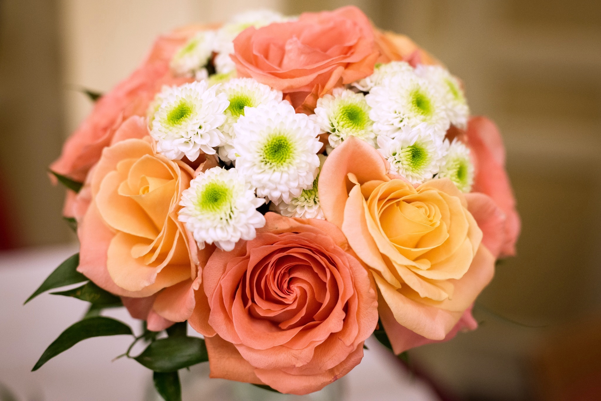 Flora Centrum , Karlovy Vary - zahradní centrum Bohatice foto 3