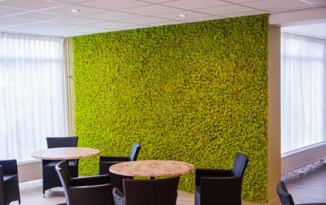 Mechové stěny, s.r.o.