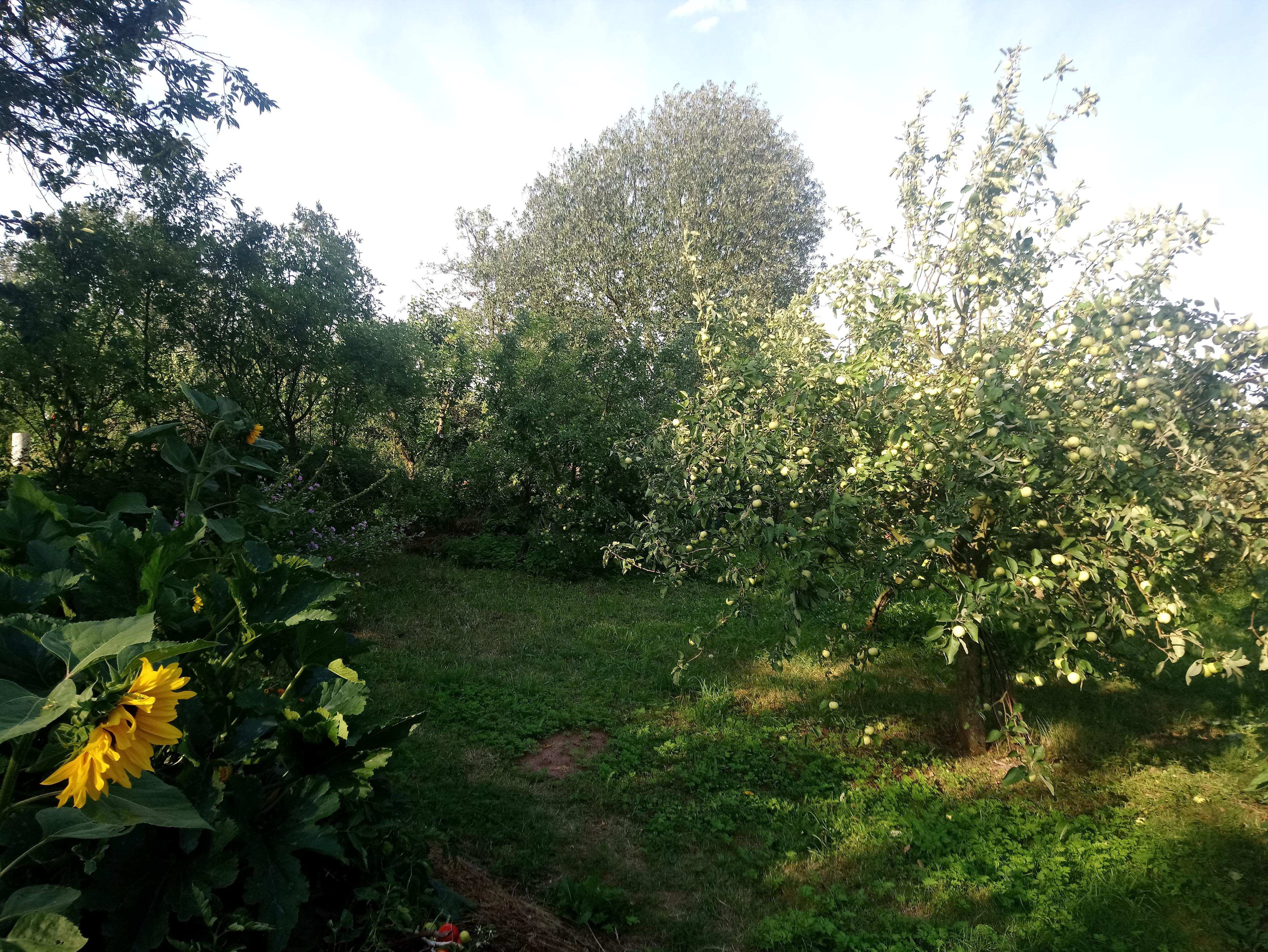 ZAHRADY HOJNOSTI foto 2