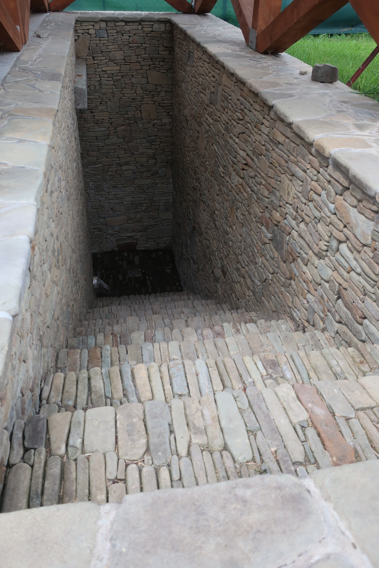 Radim Pecháček foto 4