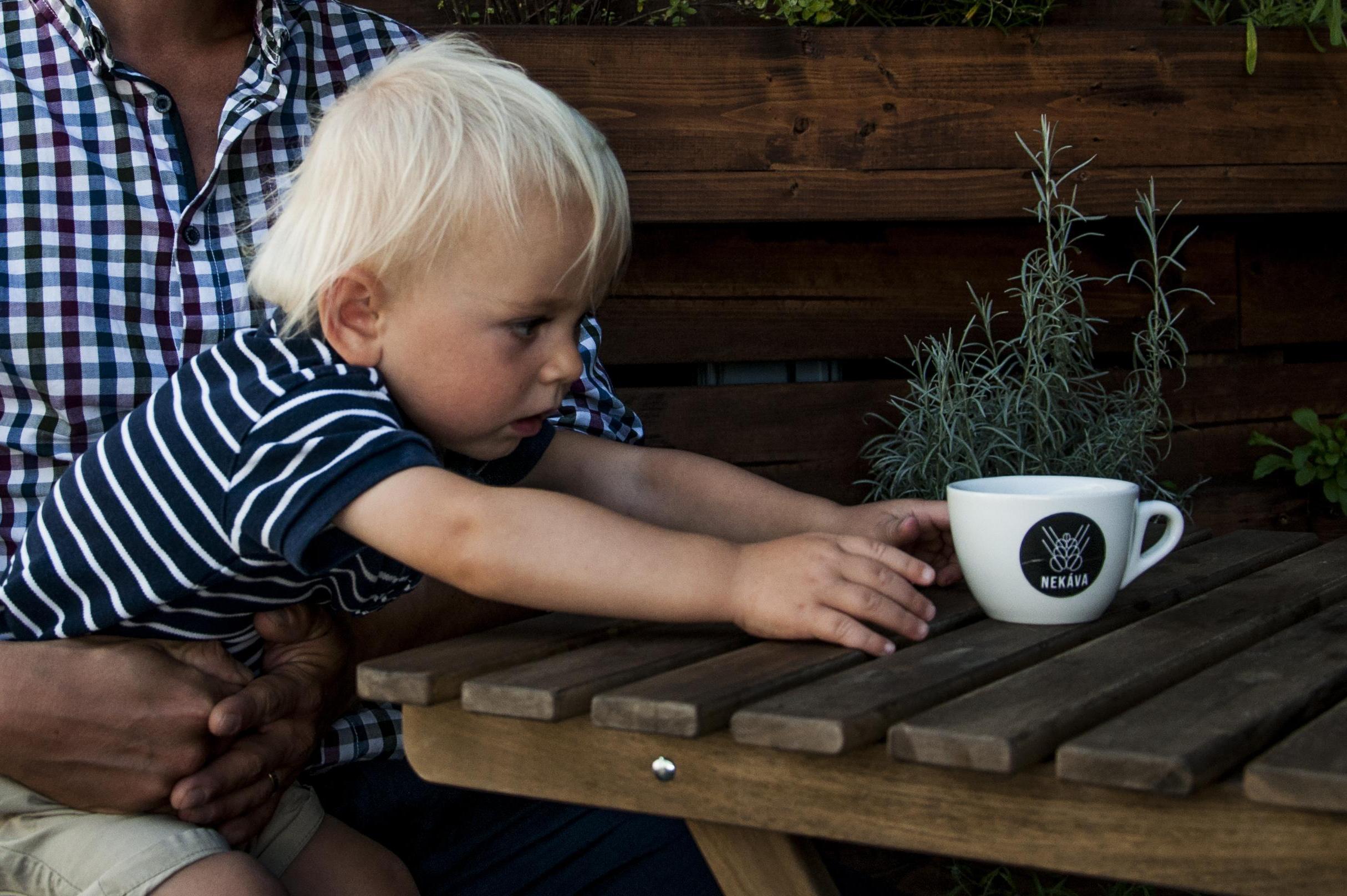 BARLEE´S - mocná síla ječmene