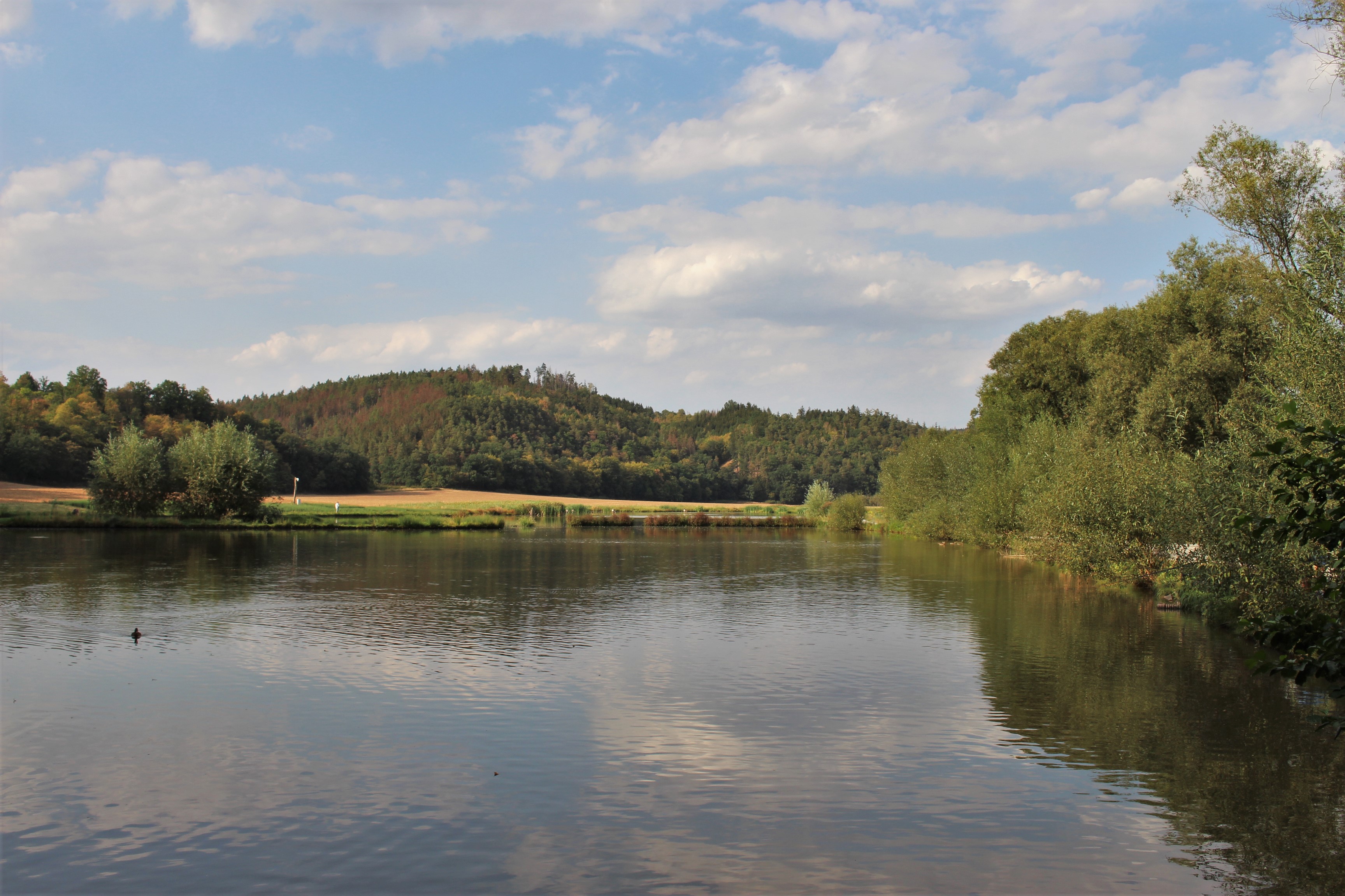 Bufet Klemovák foto 4