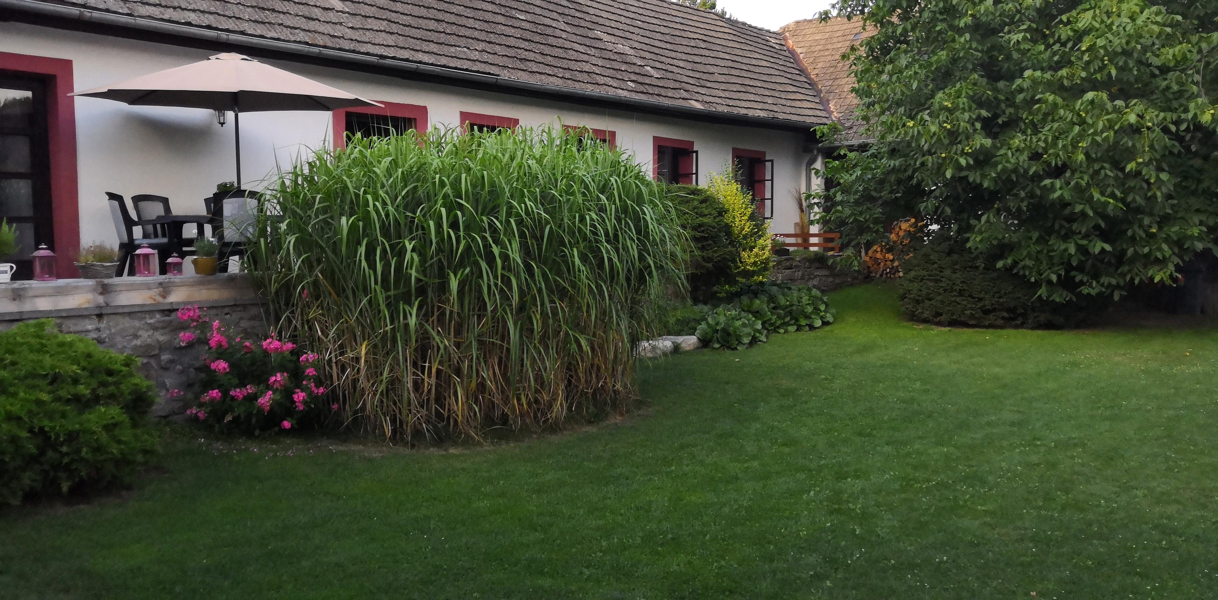 Chalupa Nový Vojířov č.p. 27 foto 2