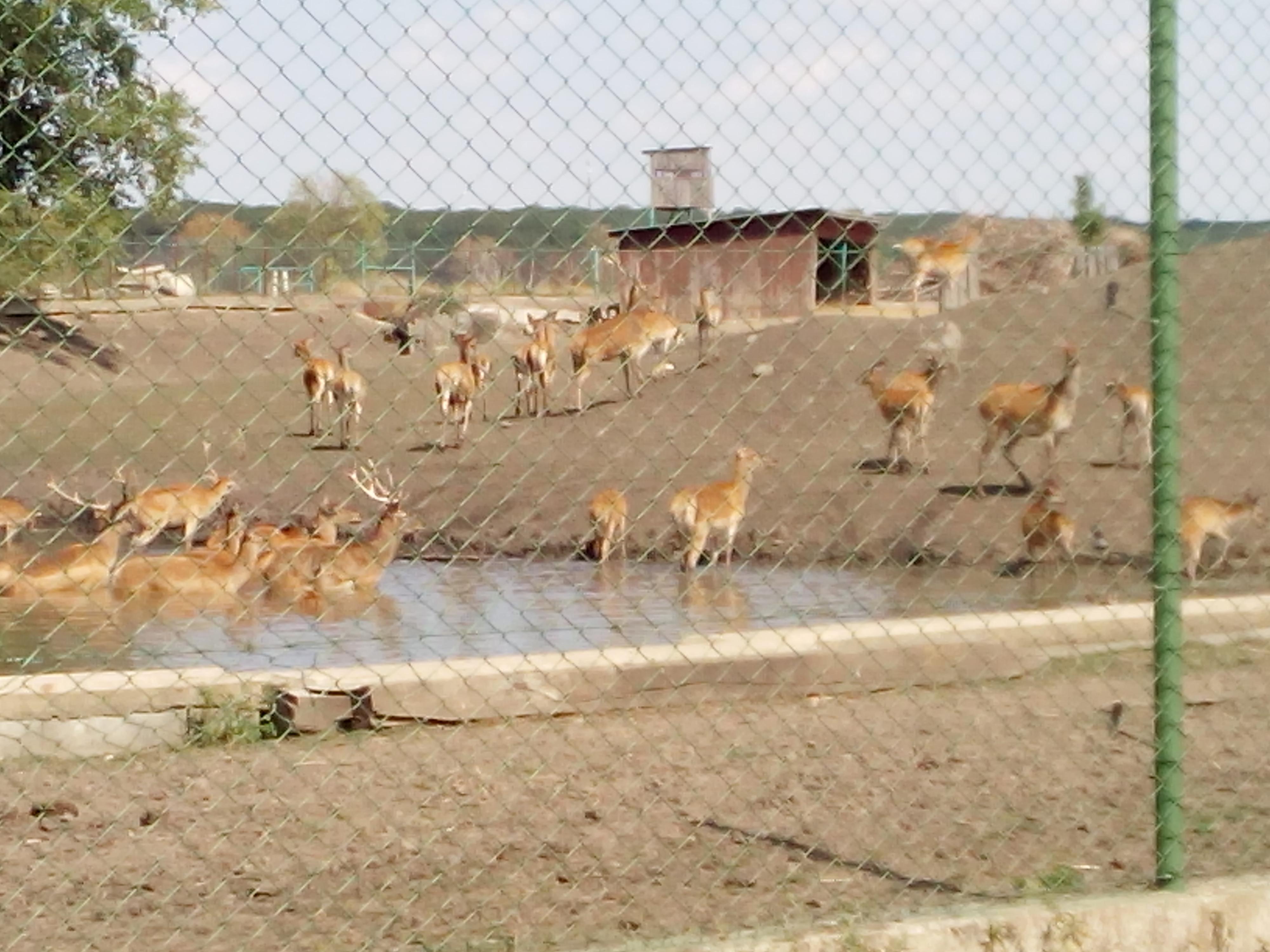Barešův Ranč foto 2