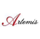 Magdaléna Horčičková - Artemis Reality