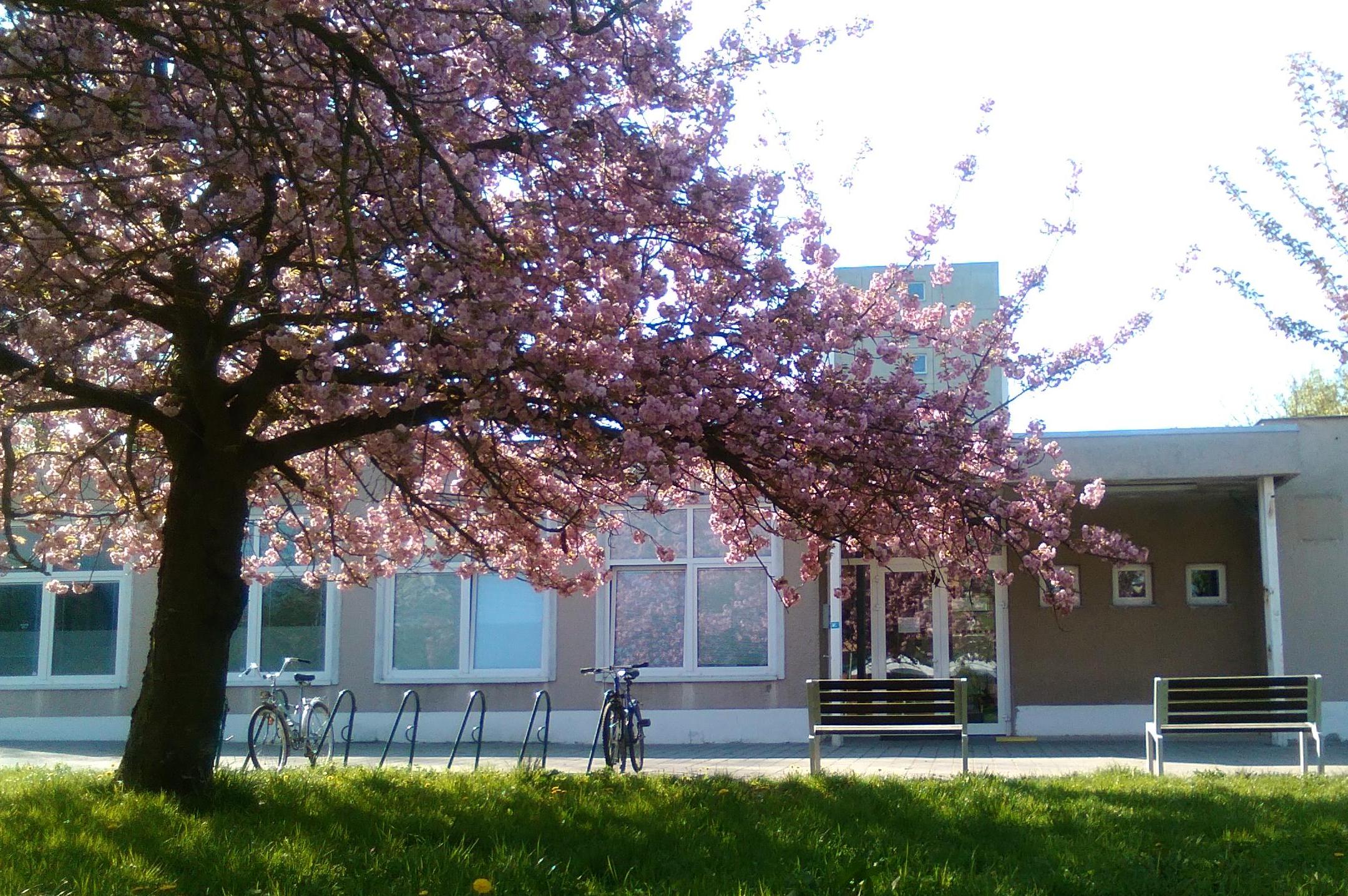 MIREA denní stacionář, o.p.s