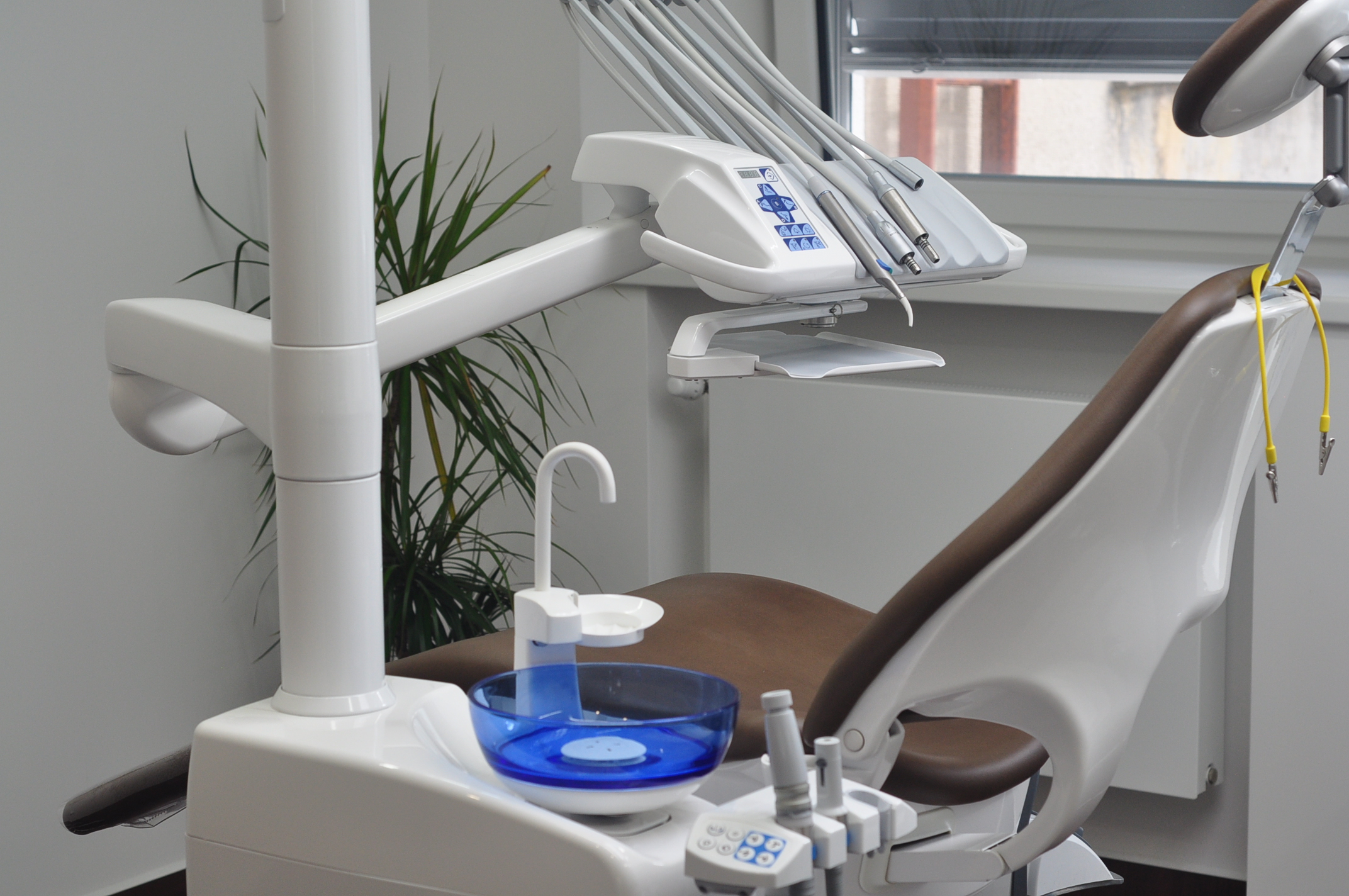 Dentlife foto 4