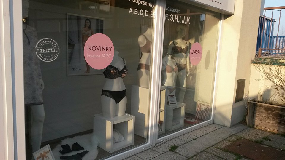 Triola foto 4