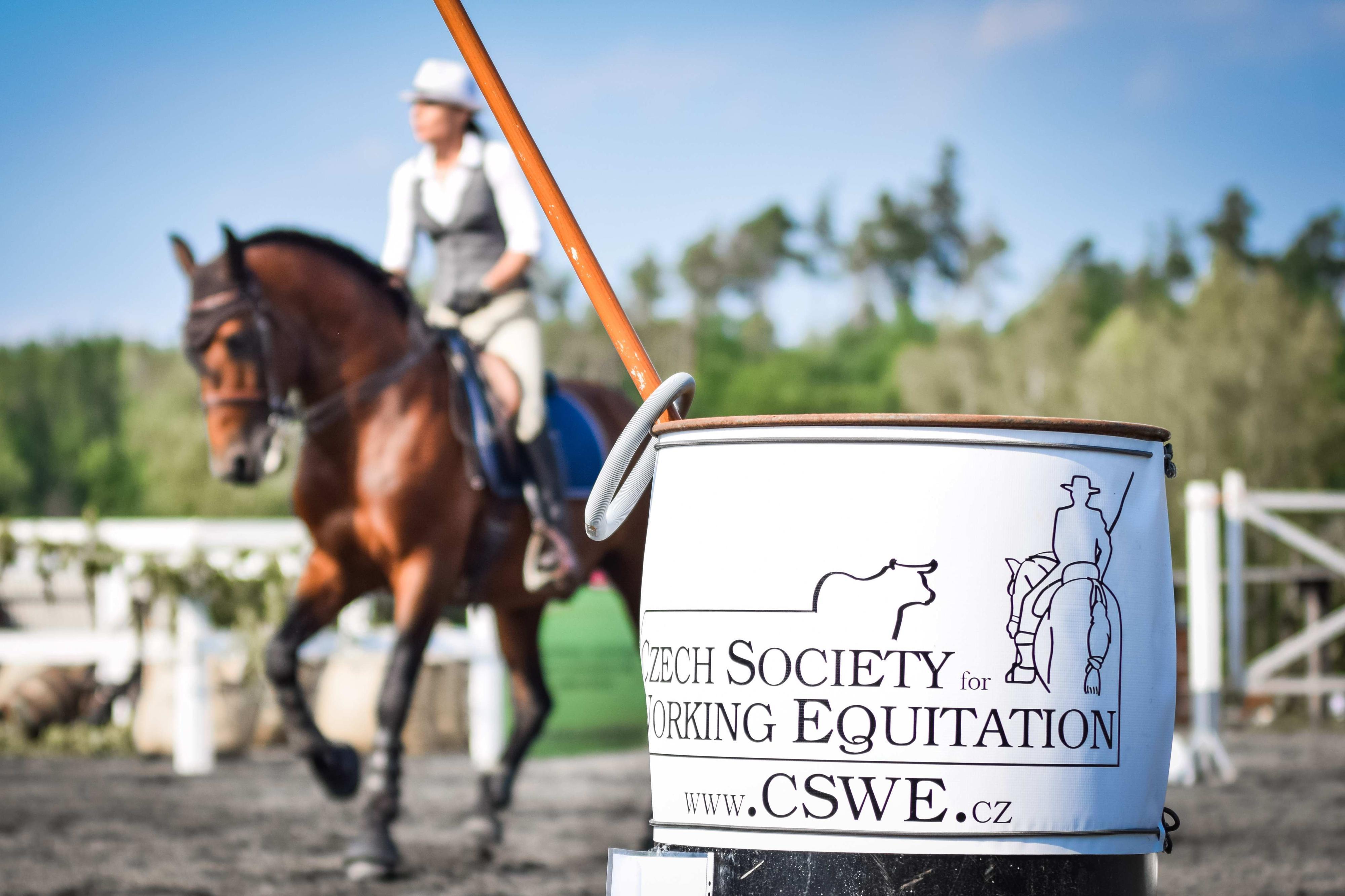 Czech Society for Working Equitation, spolek